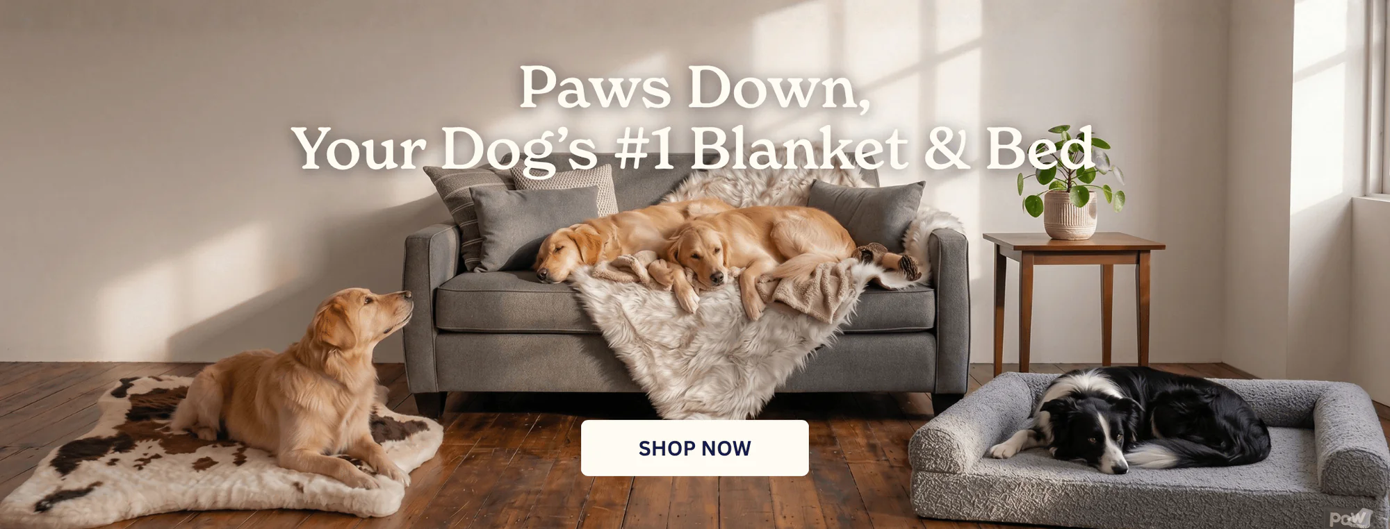 Chic Comfort for Modern Pets