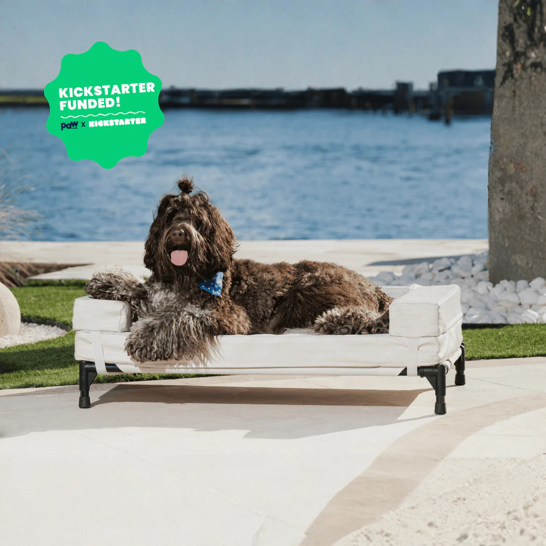 AirX Foam™ Quick-Dry & Cooling Dog Bed (Bolster Sold Separately) - Image 3
