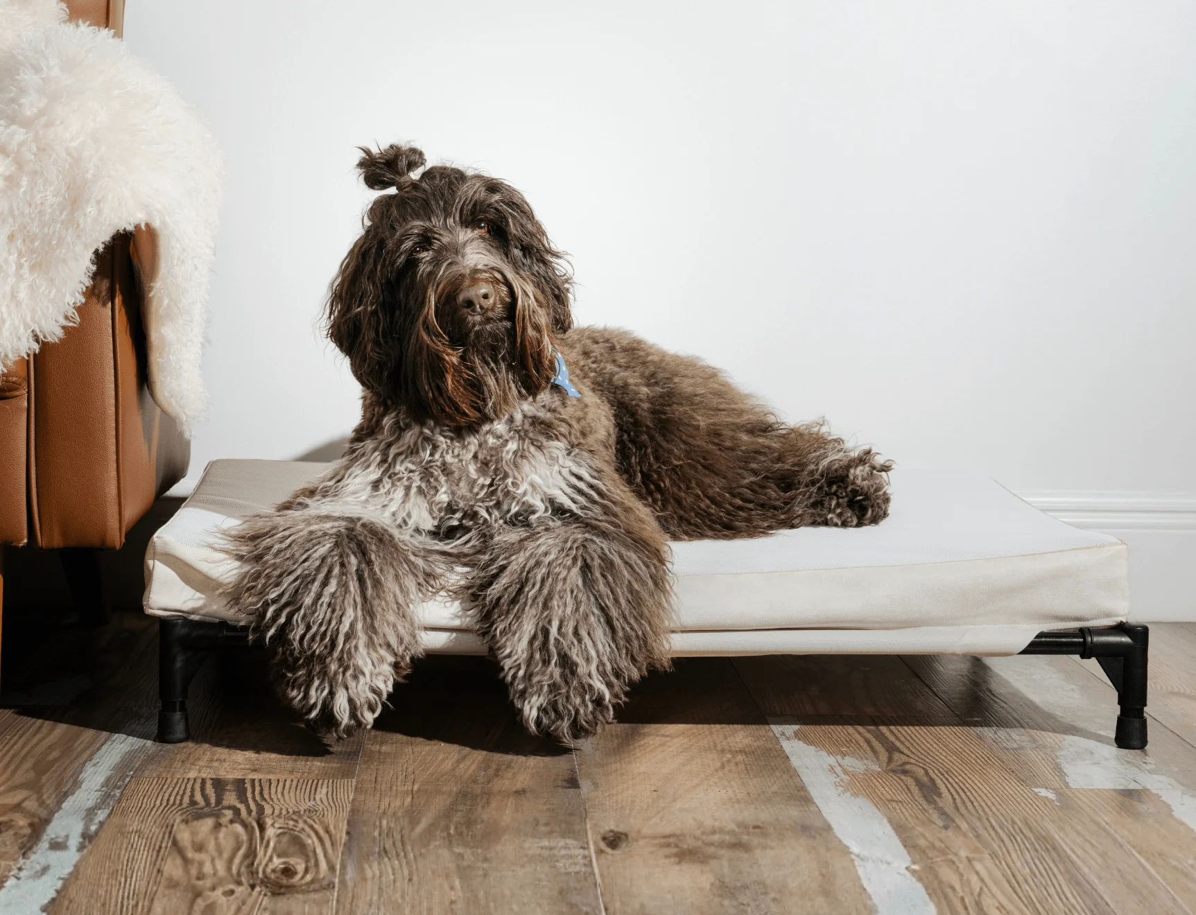 AirX Foam™ Quick-Dry & Cooling Dog Bed (Bolster Sold Separately) - Image 7