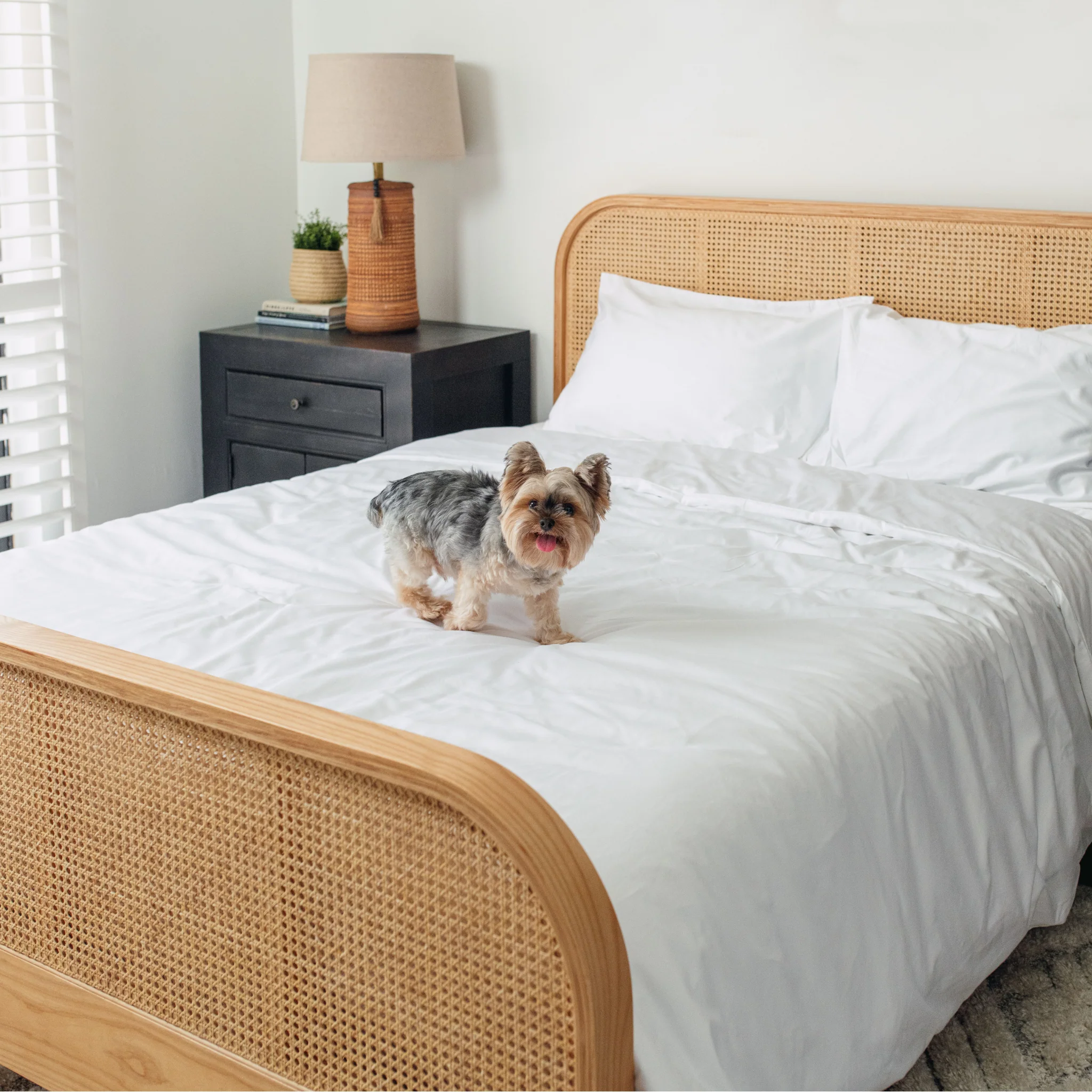 PupSheets™ Hair Resistant, Antimicrobial & Cooling Duvet Cover and Sham Set - White - Image 13