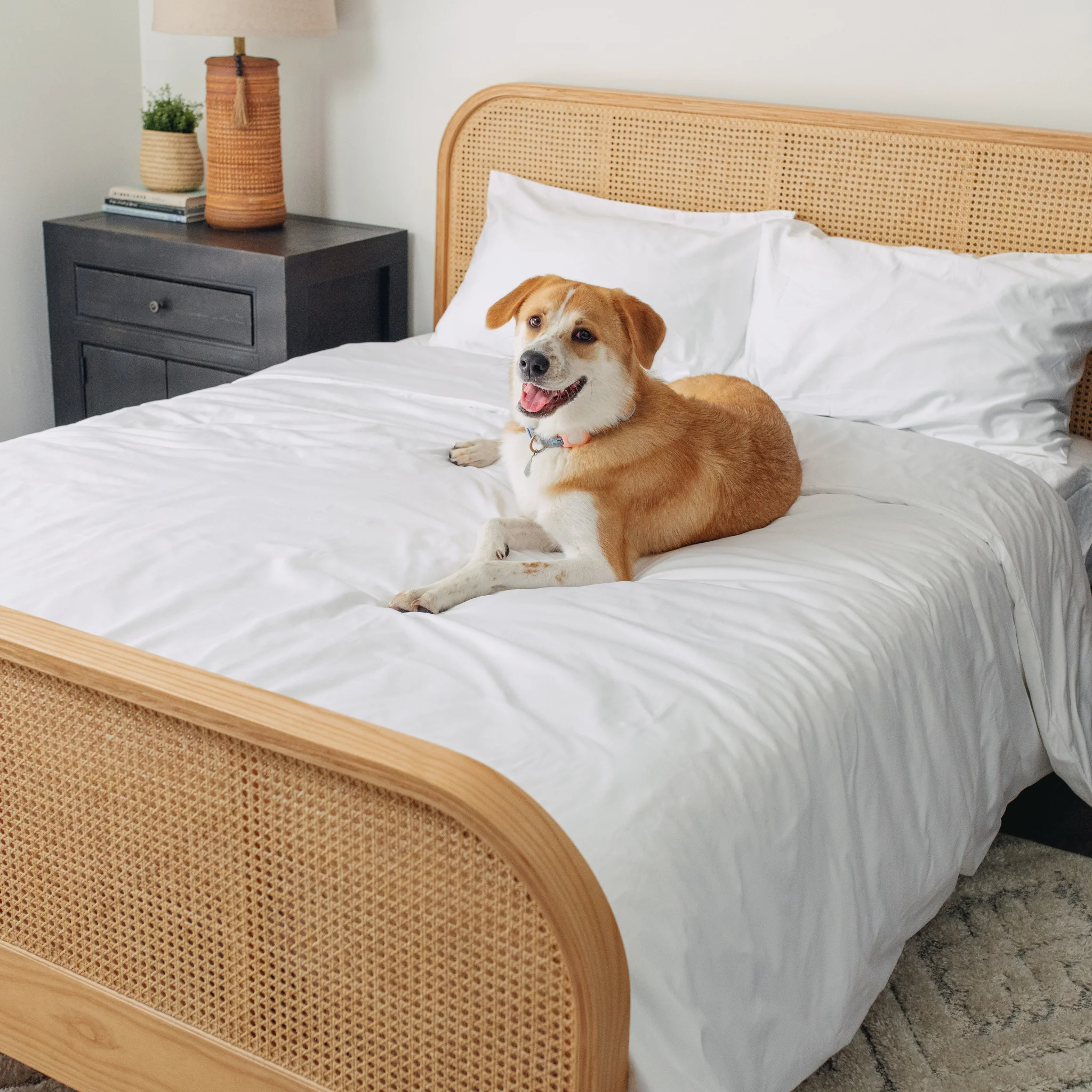 PupSheets™ Hair Resistant, Antimicrobial & Cooling Duvet Cover and Sham Set - White - Image 14