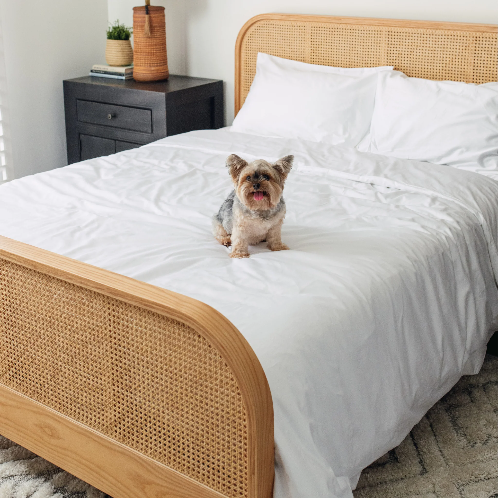 PupSheets™ Hair Resistant, Antimicrobial & Cooling Duvet Cover and Sham Set - White - Image 4