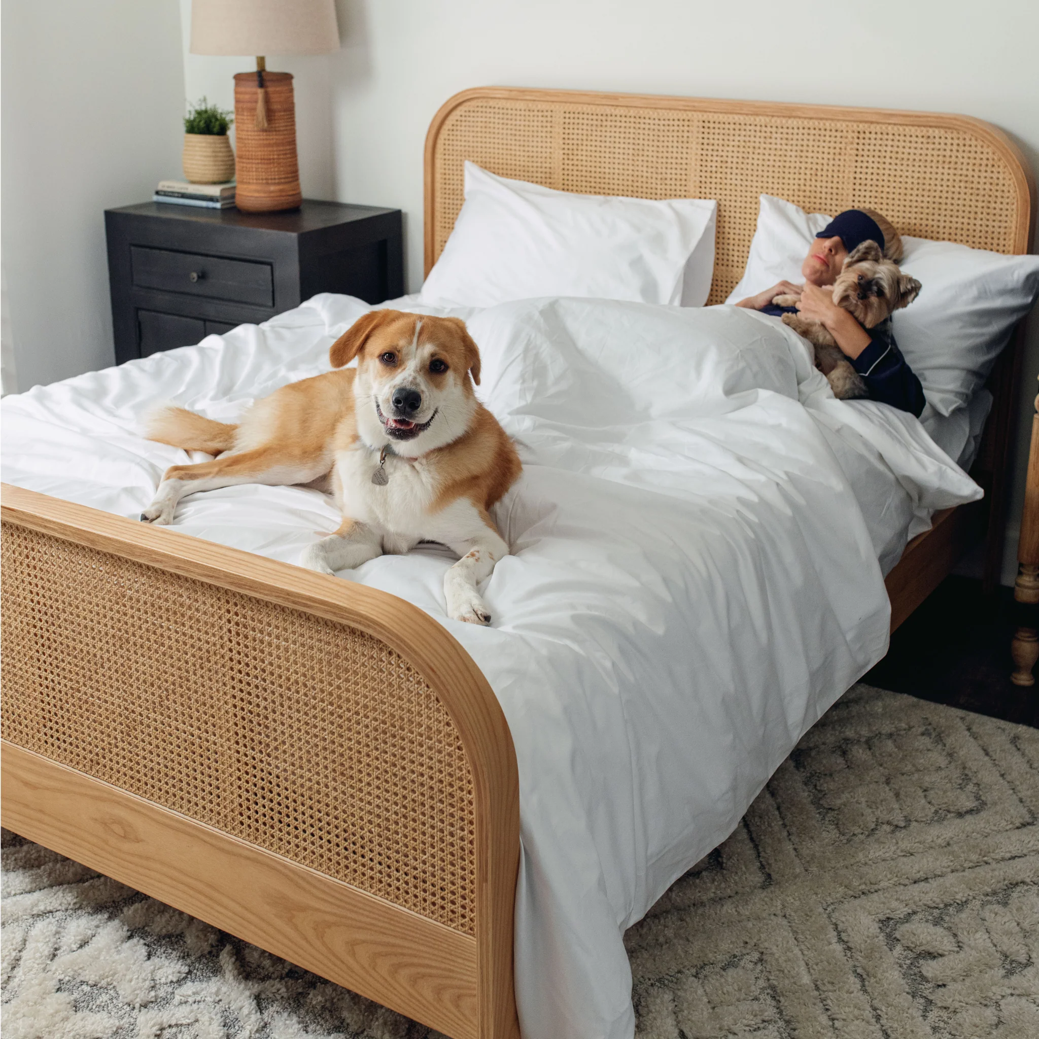 PupSheets™ Hair Resistant, Antimicrobial & Cooling Duvet Cover and Sham Set - White - Image 7