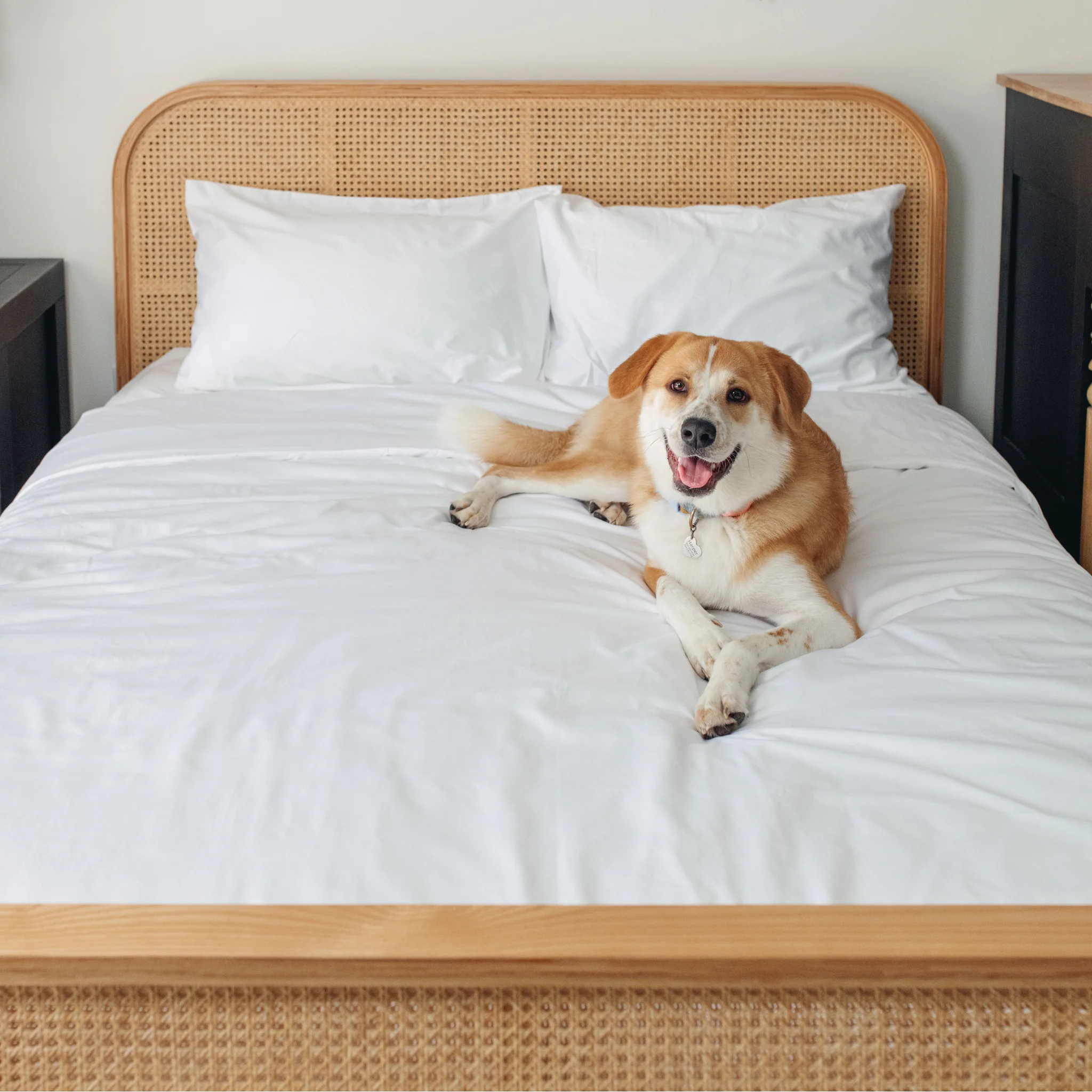 PupSheets™ Hair Resistant, Antimicrobial & Cooling Duvet Cover and Sham Set - White - Image 8