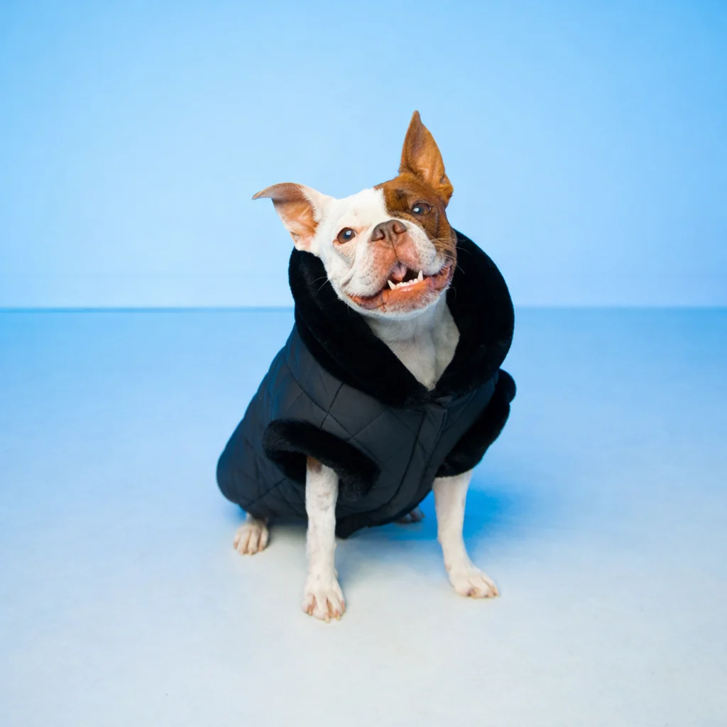 PolarPup™ Parka Dog Coat - Midnight Black - Image 3