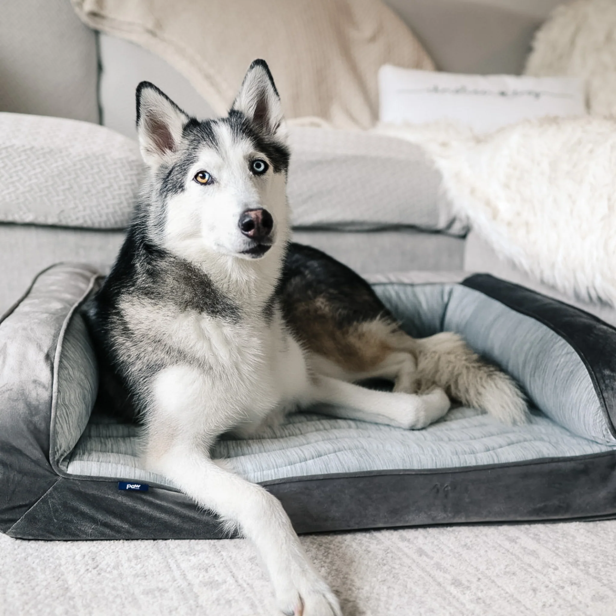 PupChill™ Cooling Bolster Dog Bed - Image 10