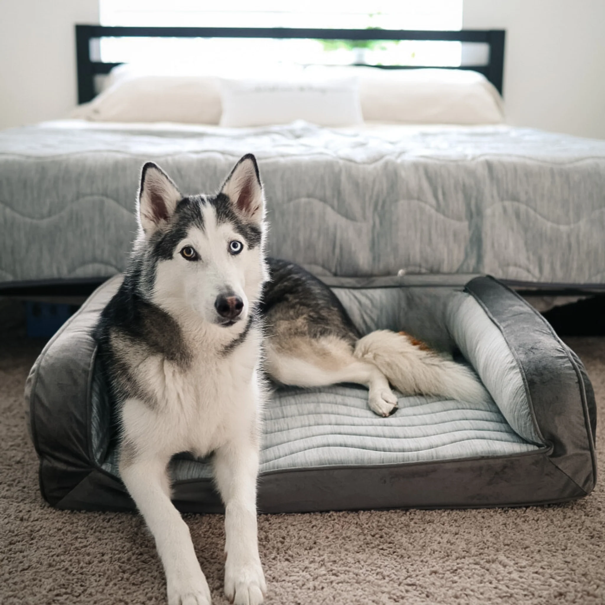 PupChill™ Cooling Bolster Dog Bed + Waterproof Blanket Bundle - Arctic Grey - Image 4