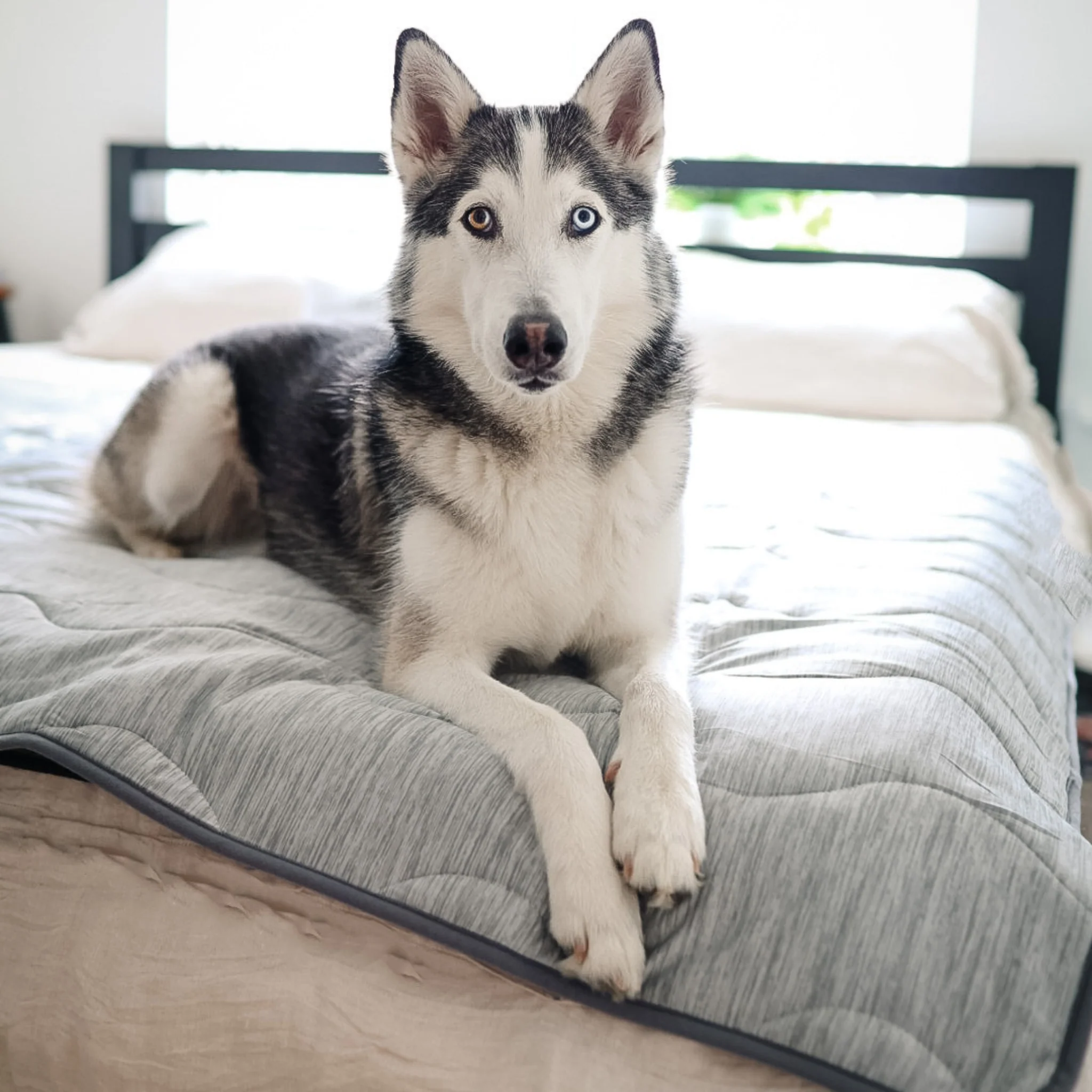 PupChill™ Cooling Waterproof Blanket - Arctic Grey - Image 3