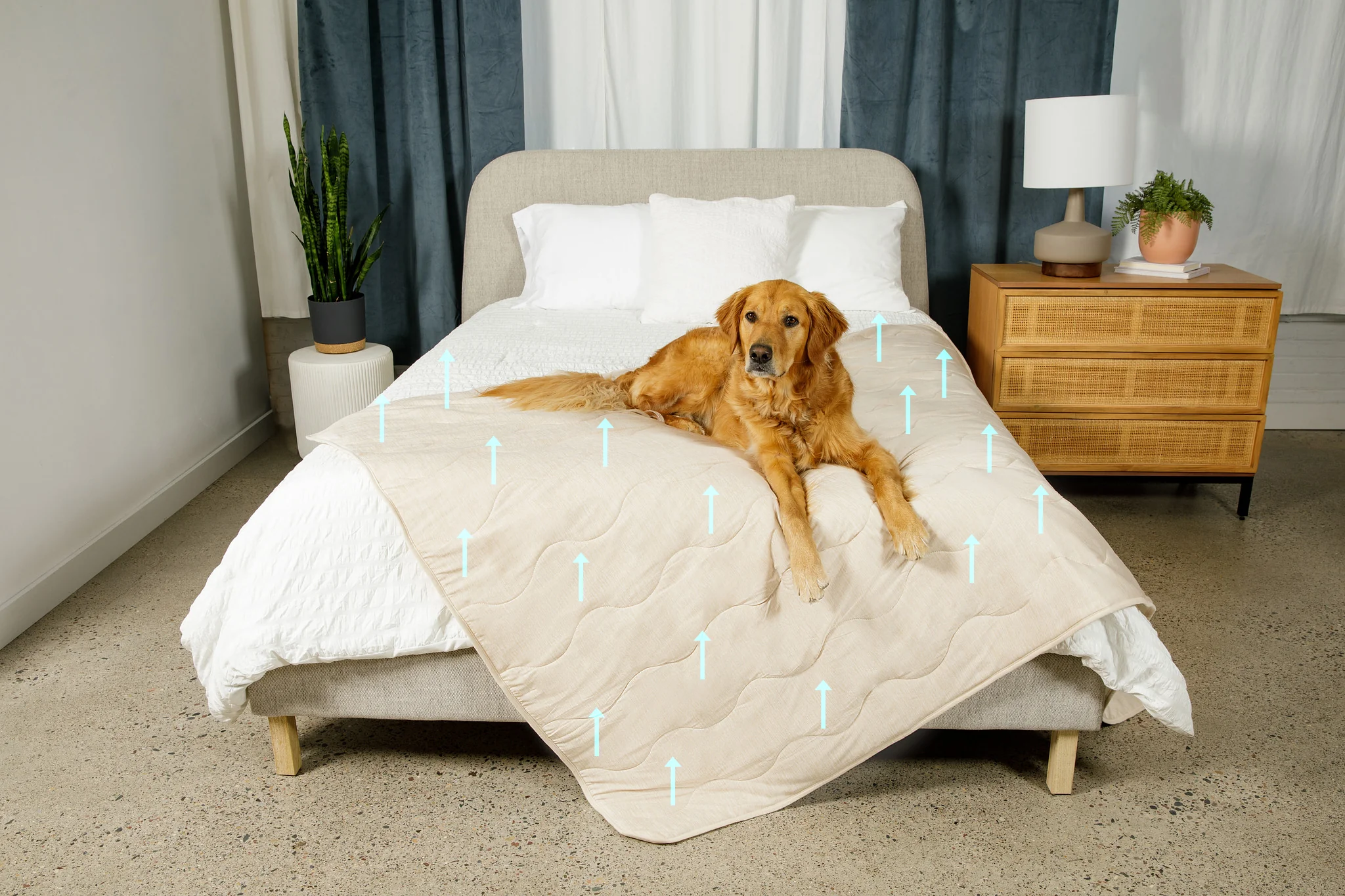 PupChill™ Cooling Waterproof Blanket - Arctic Sand - Image 16