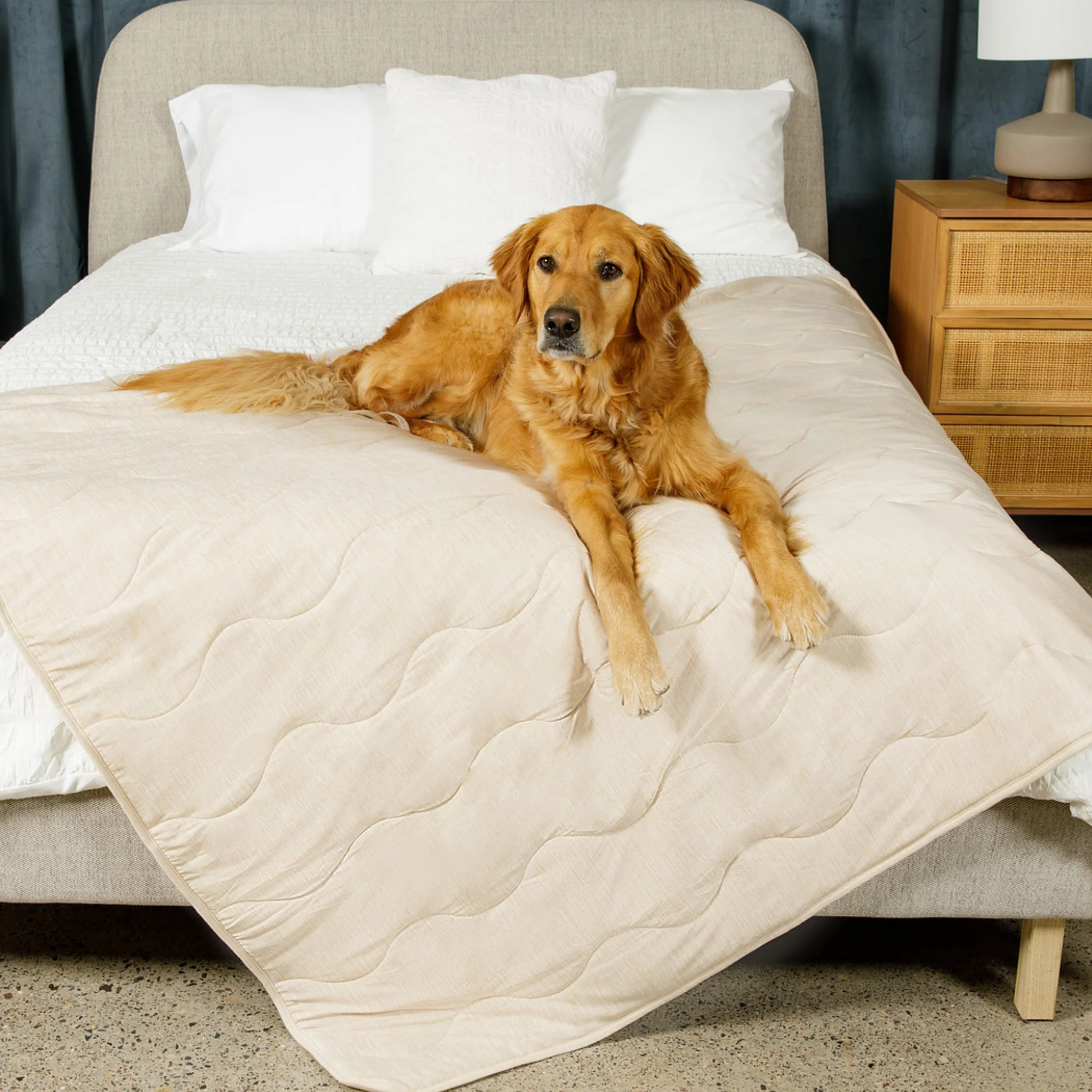 PupChill™ Cooling Waterproof Blanket - Arctic Sand - Image 5