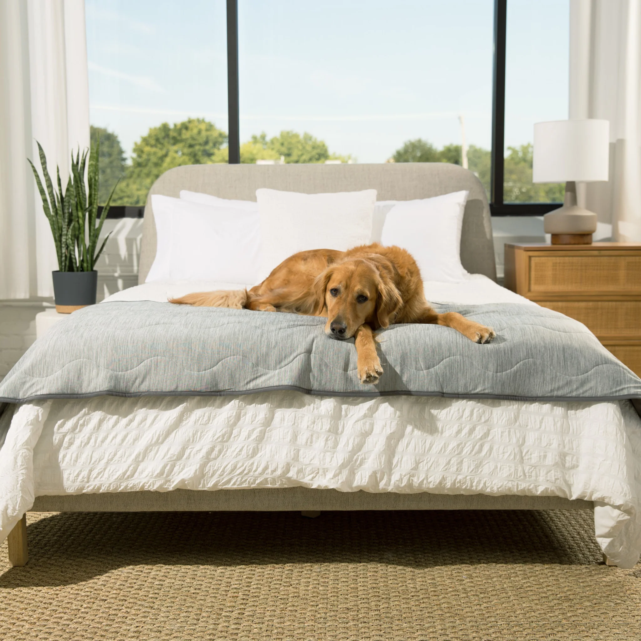 PupChill™ Cooling Waterproof Runner Blanket - Arctic Grey - Image 5