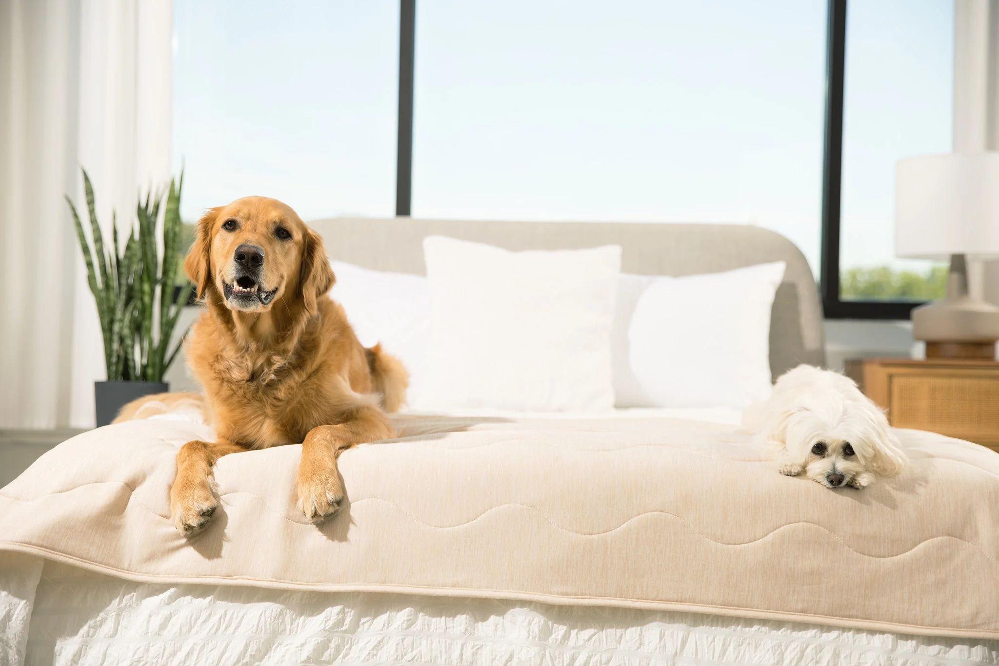 PupChill™ Cooling Waterproof Runner Blanket - Arctic Sand - Image 2