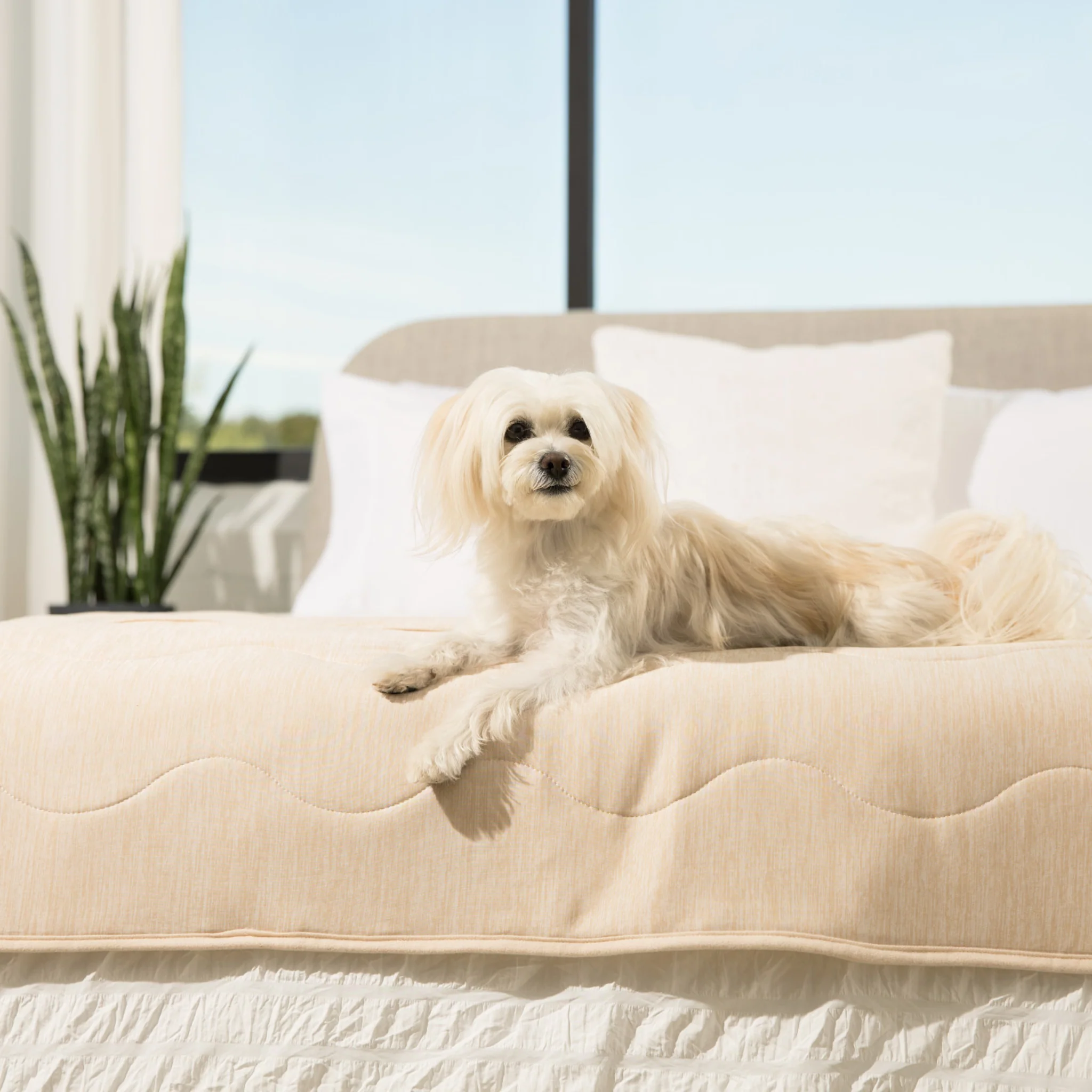 PupChill™ Cooling Waterproof Runner Blanket - Arctic Sand - Image 4