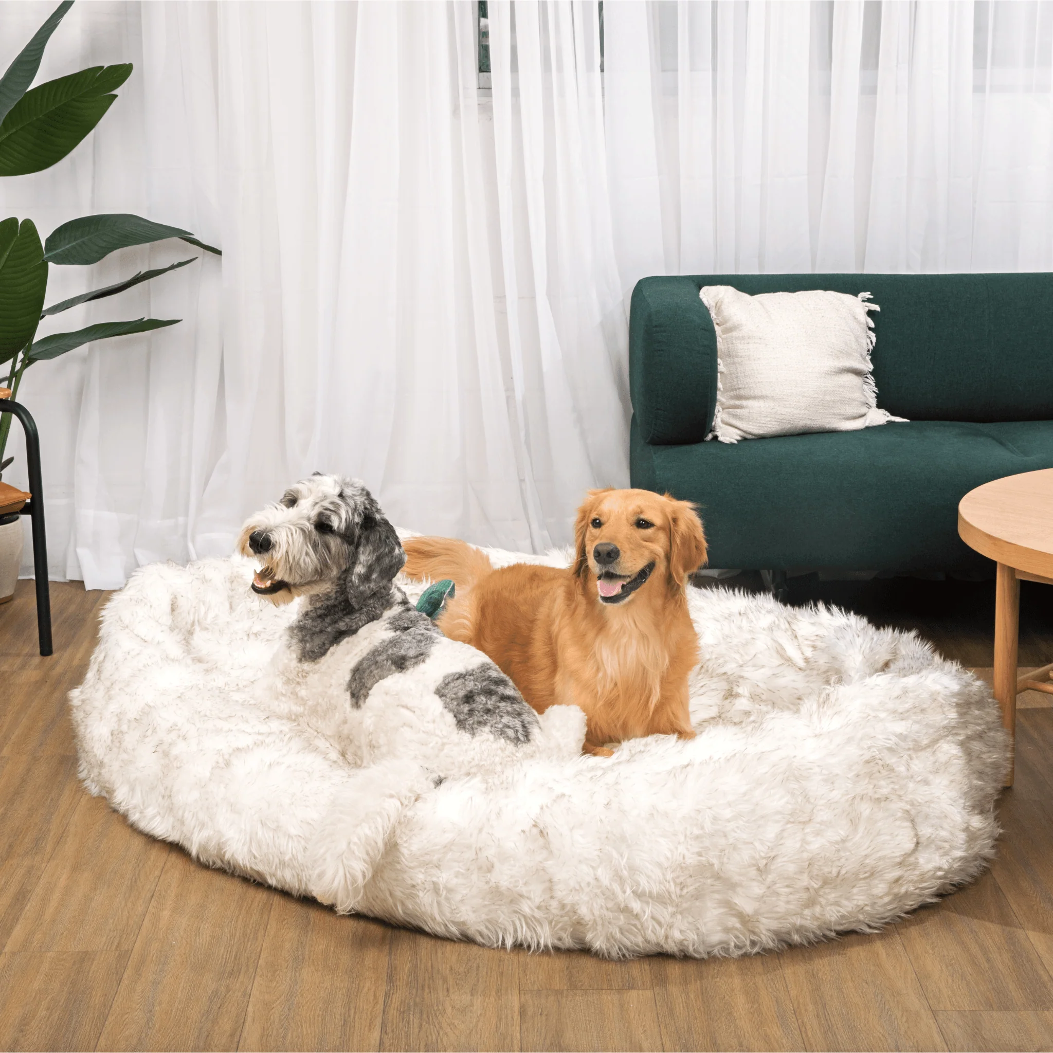 PupCloud™ Human-Size Faux Fur Memory Foam Dog Bed - White with Brown Accents - Image 7