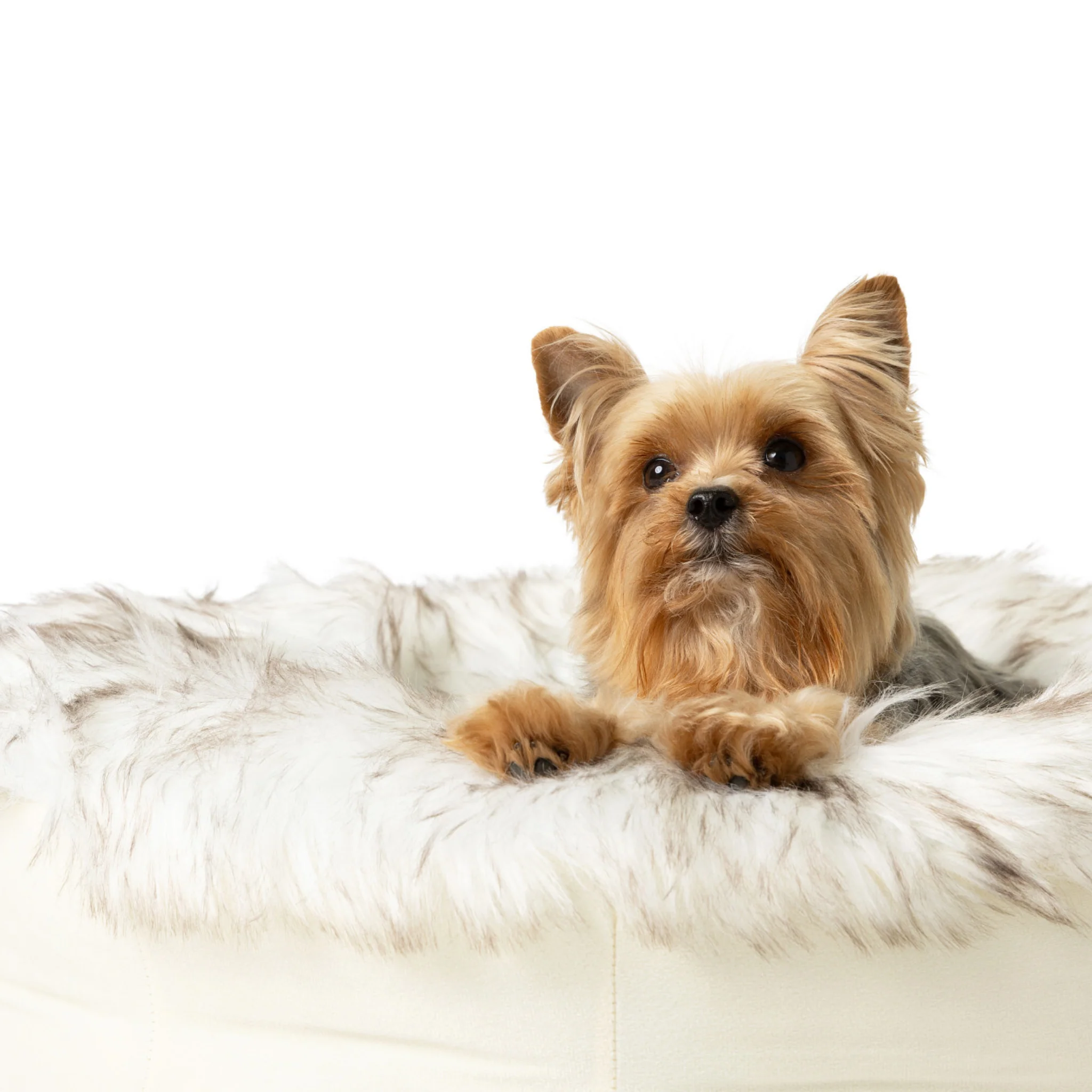 PupPouf™ Faux Fur Donut Dog Bed - White with Brown Accents - Image 5
