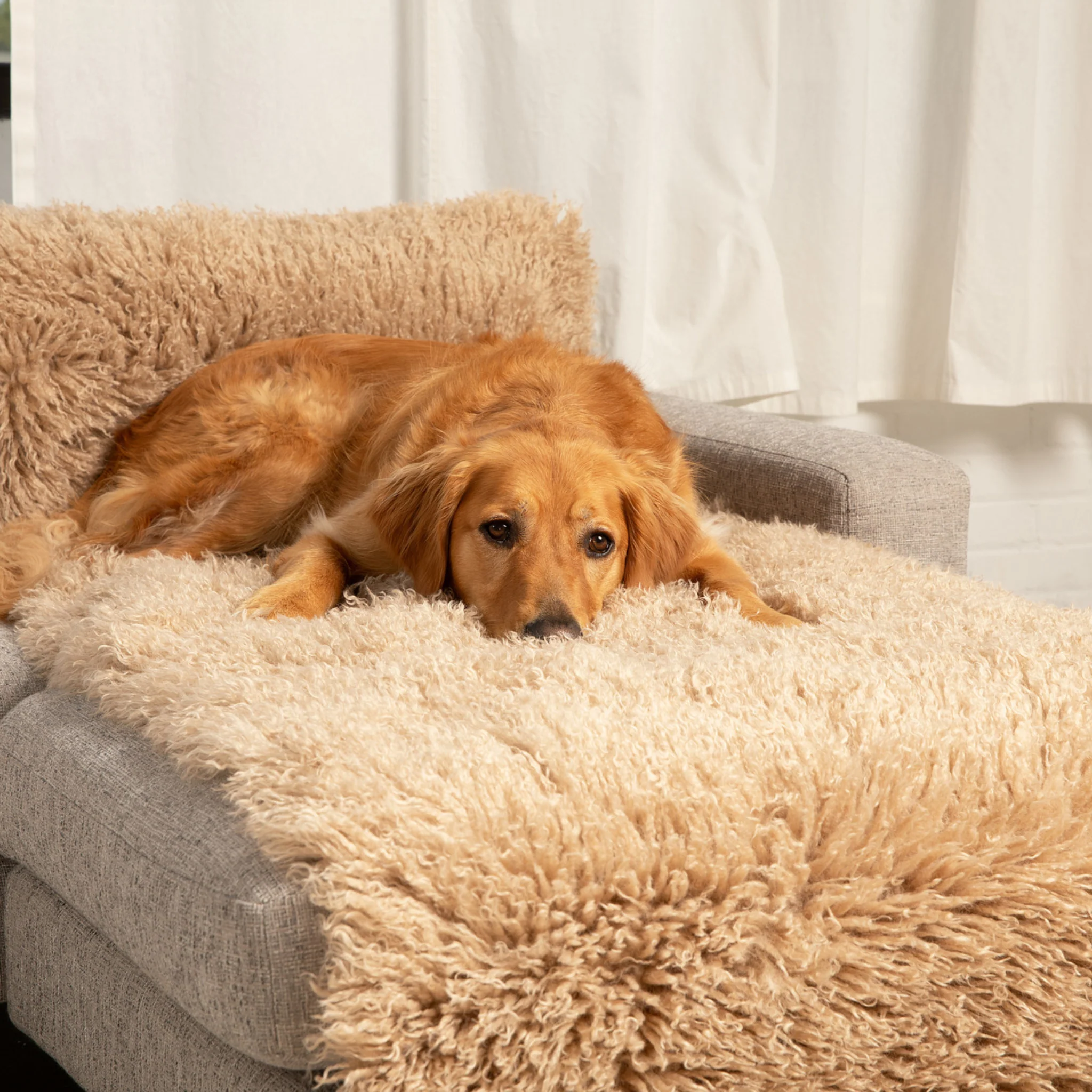 PupProtector™ Luxe Waterproof Bed Runner - Plush Sheep Tan - Image 2
