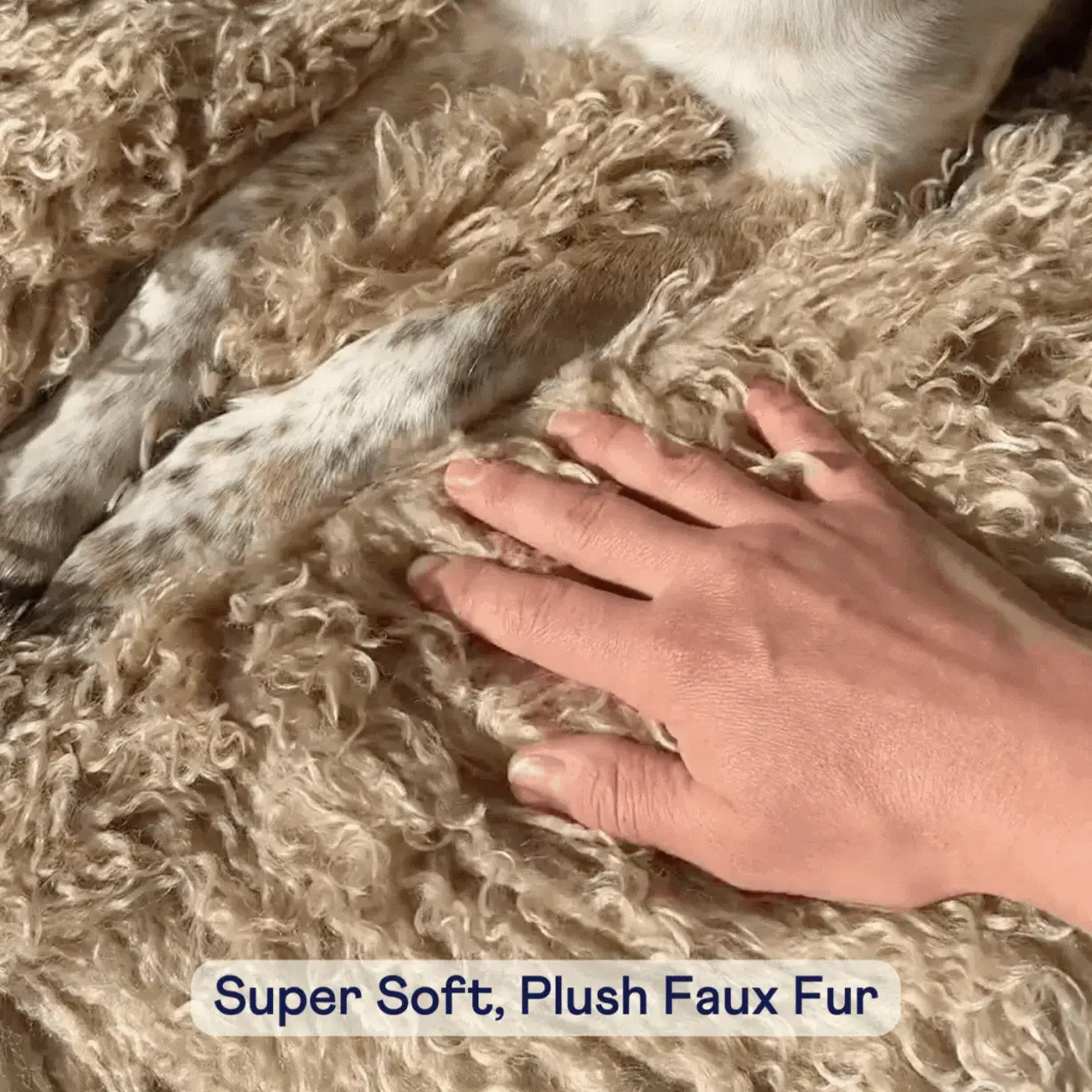 PupRug® Luxe Faux Fur Orthopedic Dog Bed -  Plush Sheep Tan - Image 8