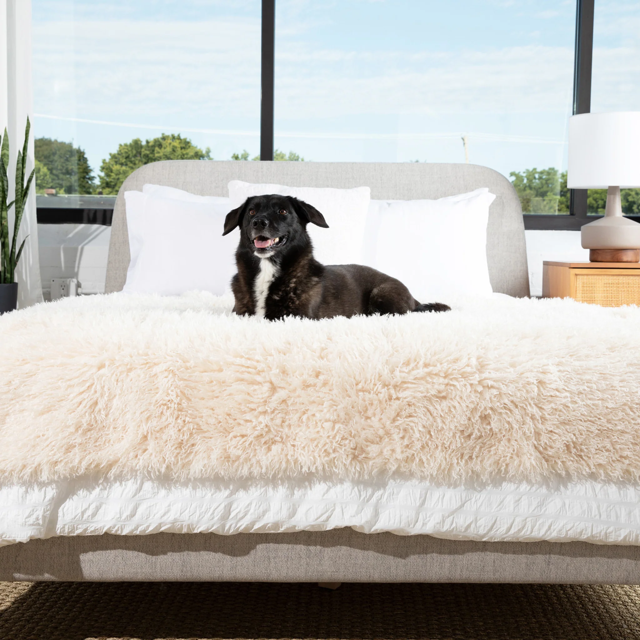 PupProtector™ Luxe Waterproof Faux Fur Blanket - Plush Sheep Ivory - Image 5