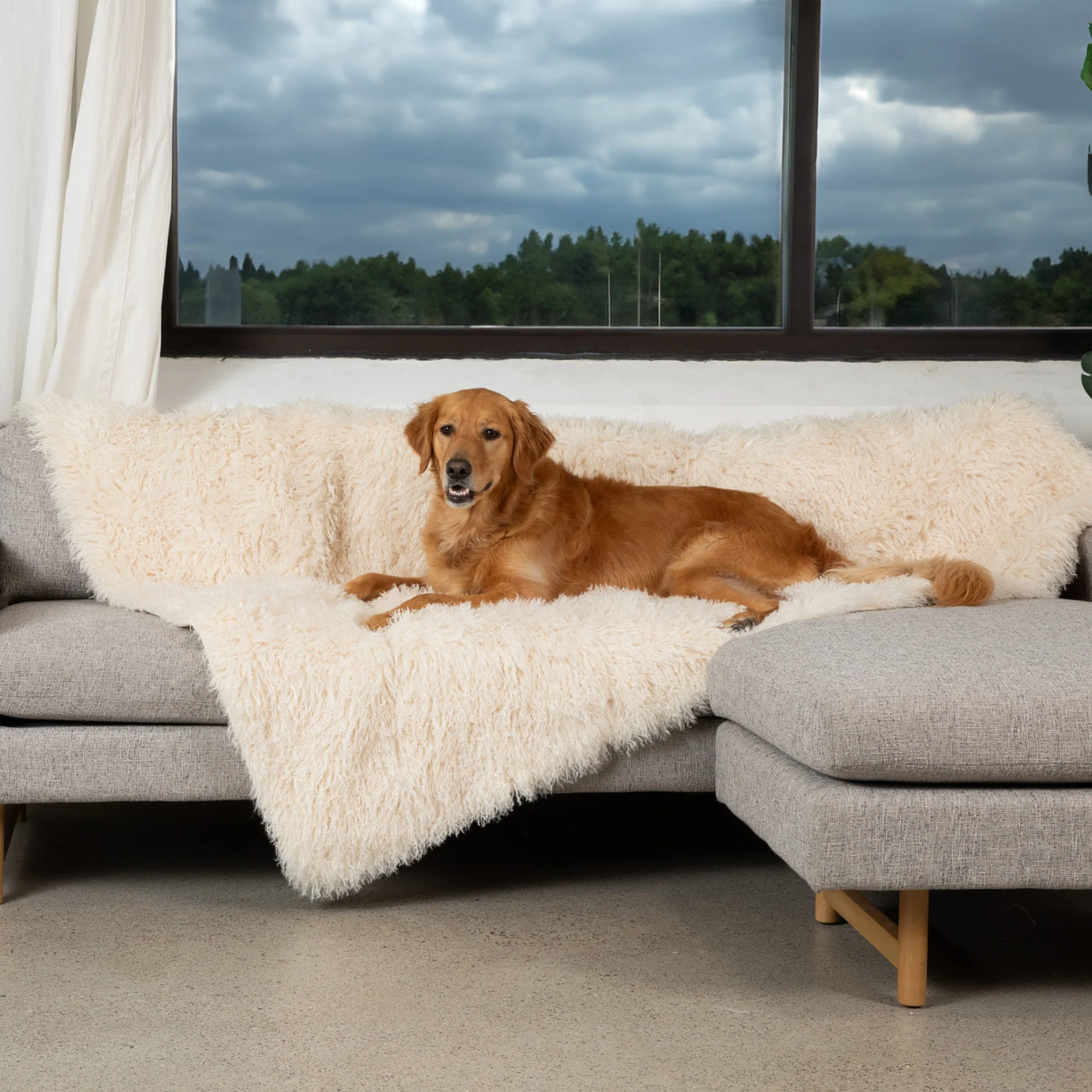 PupProtector™ Luxe Waterproof Faux Fur Blanket - Plush Sheep Ivory - Image 6