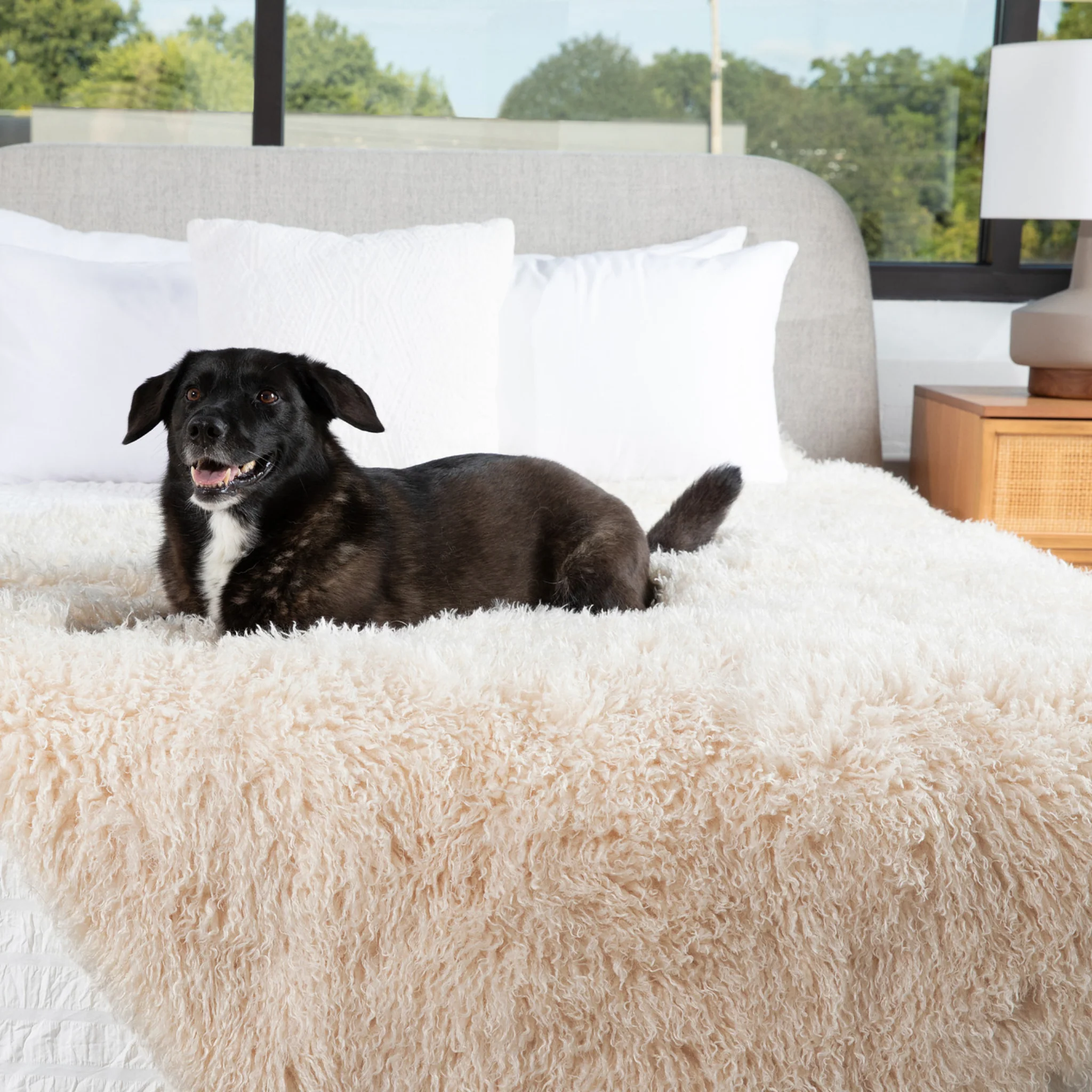 PupProtector™ Luxe Waterproof Faux Fur Blanket - Plush Sheep Ivory - Image 8