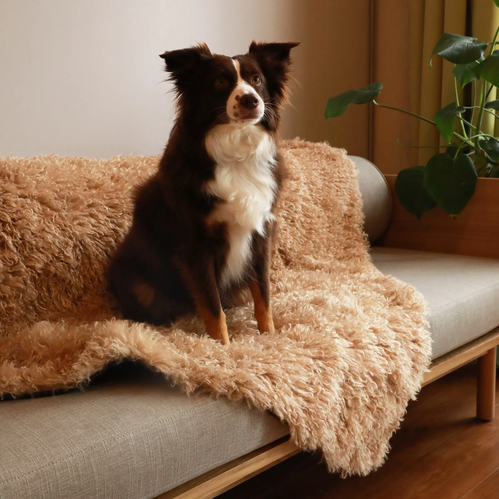 PupProtector™ Luxe Waterproof Faux Fur Blanket - Plush Sheep Tan - Image 10