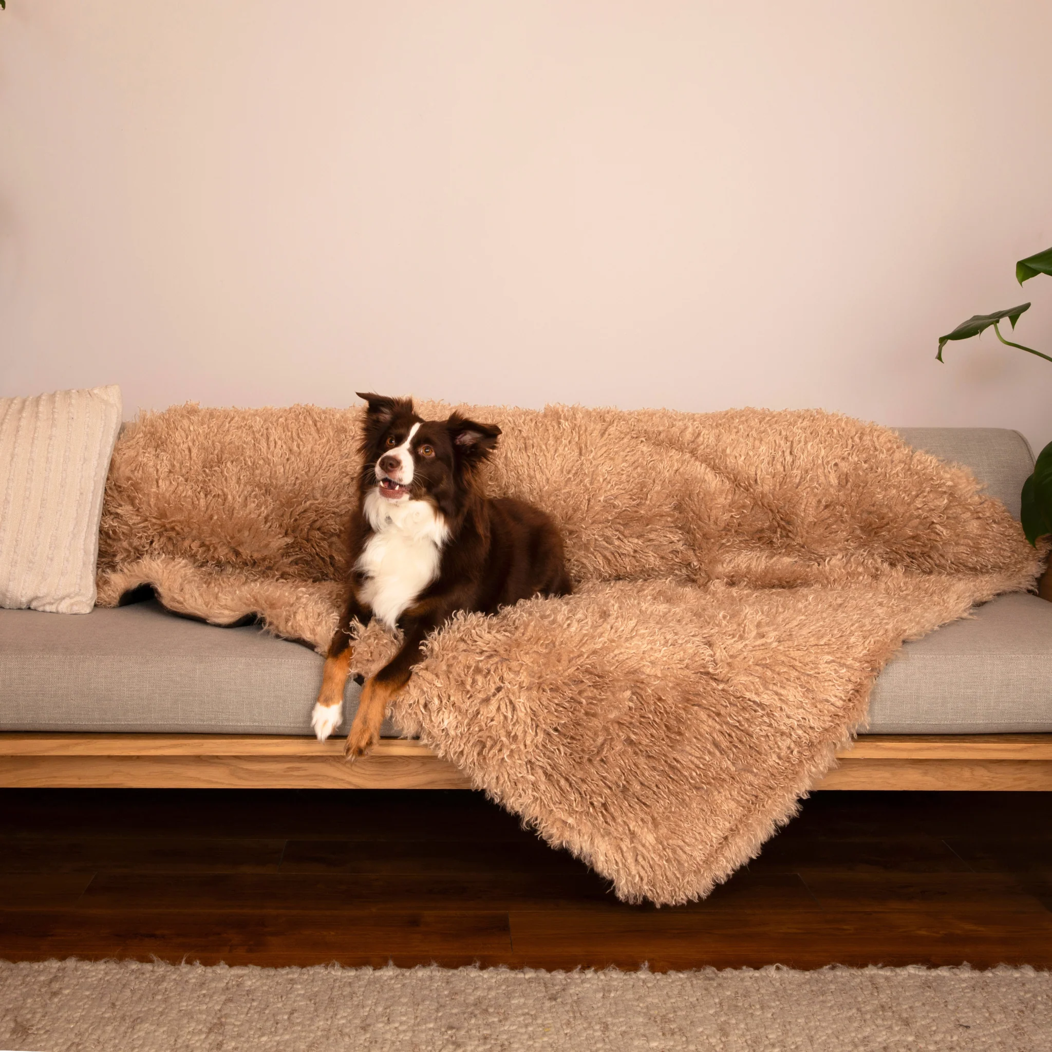 PupProtector™ Luxe Waterproof Faux Fur Blanket - Plush Sheep Tan - Image 14