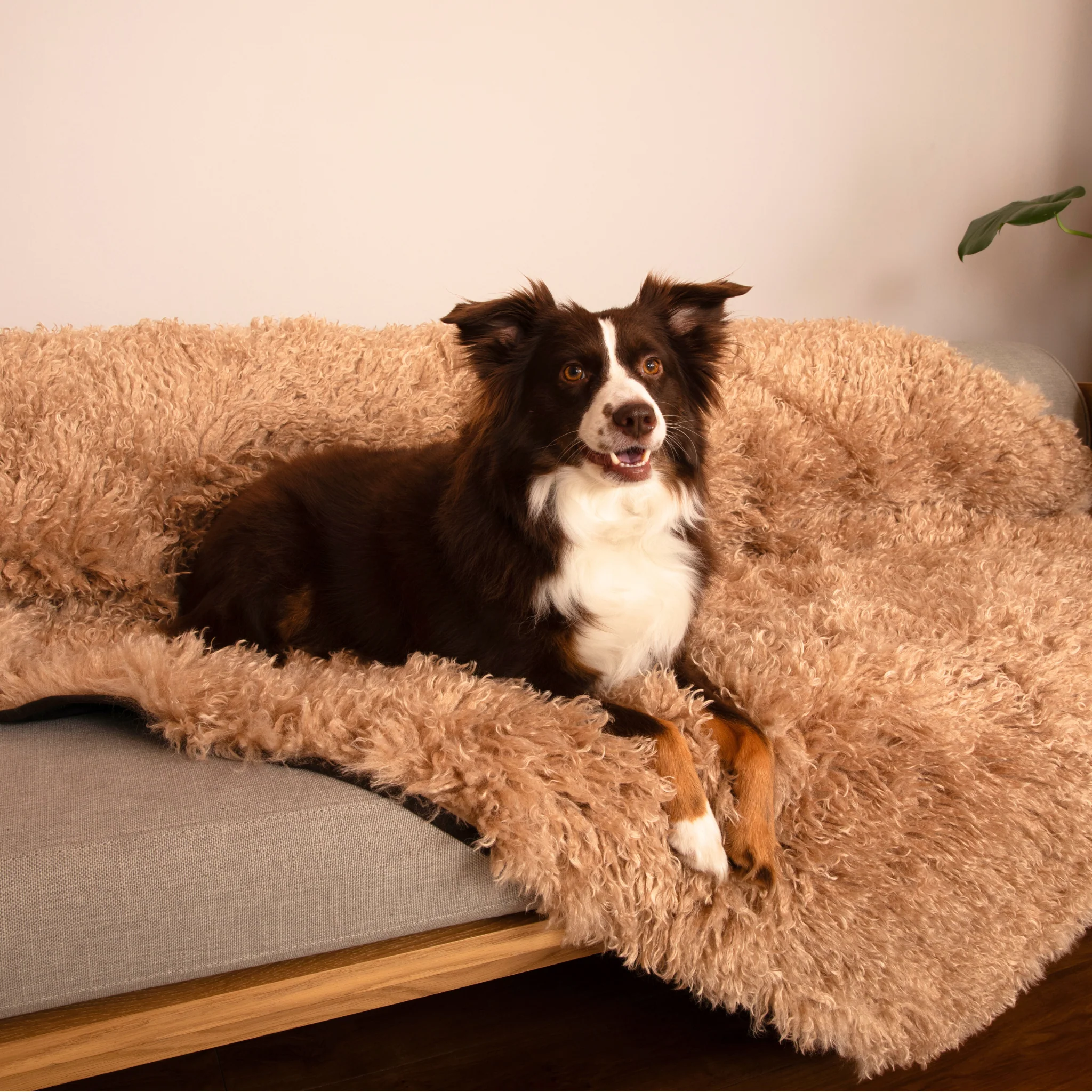 PupProtector™ Luxe Waterproof Faux Fur Blanket - Plush Sheep Tan - Image 7