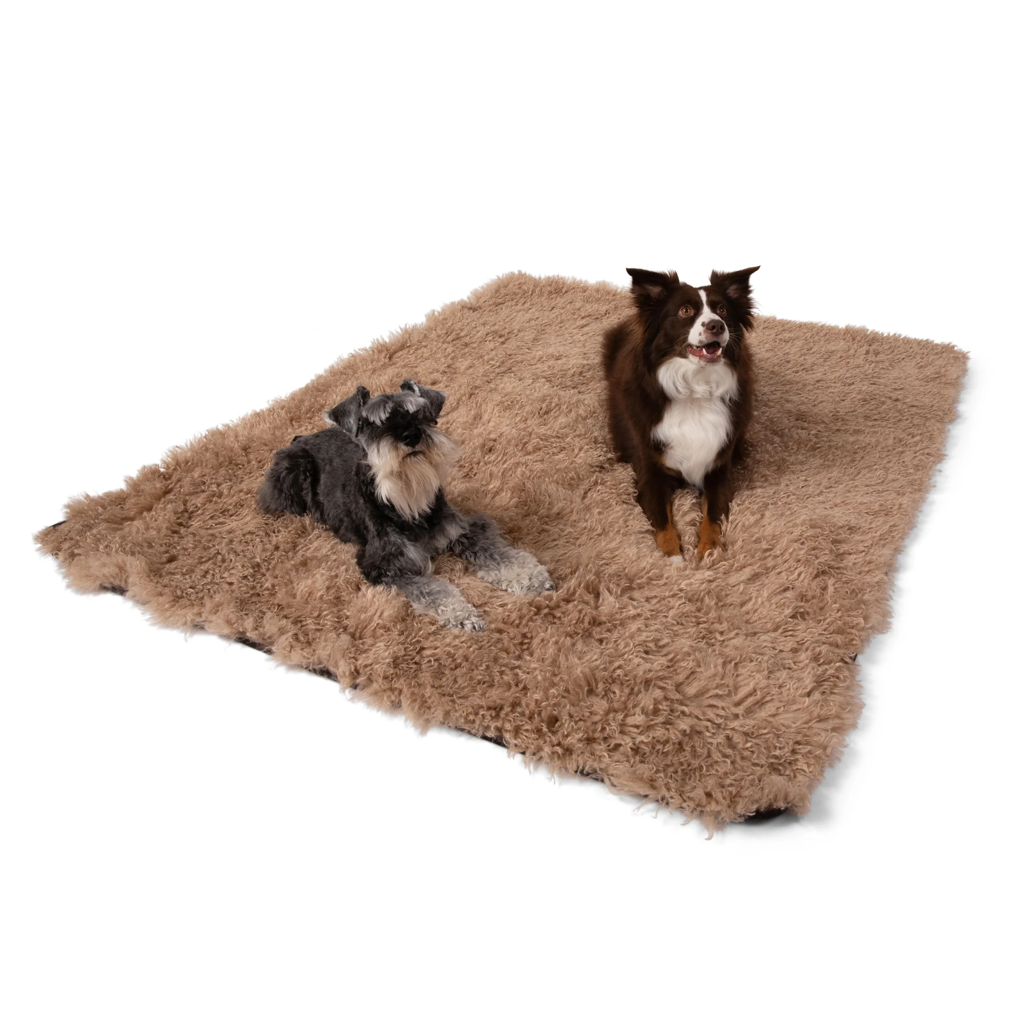 PupProtector™ Luxe Waterproof Faux Fur Blanket - Plush Sheep Tan - Image 8