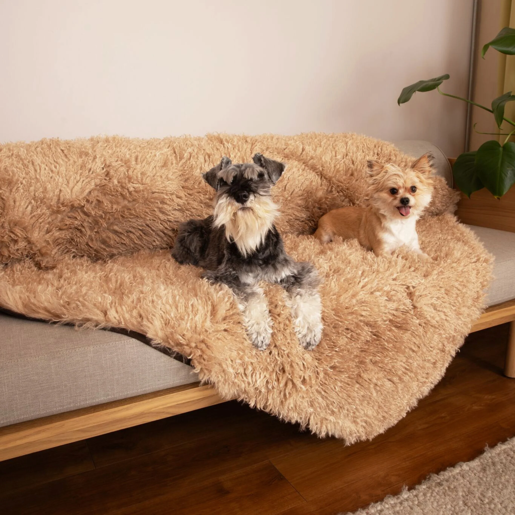 PupProtector™ Luxe Waterproof Faux Fur Blanket - Plush Sheep Tan - Image 9