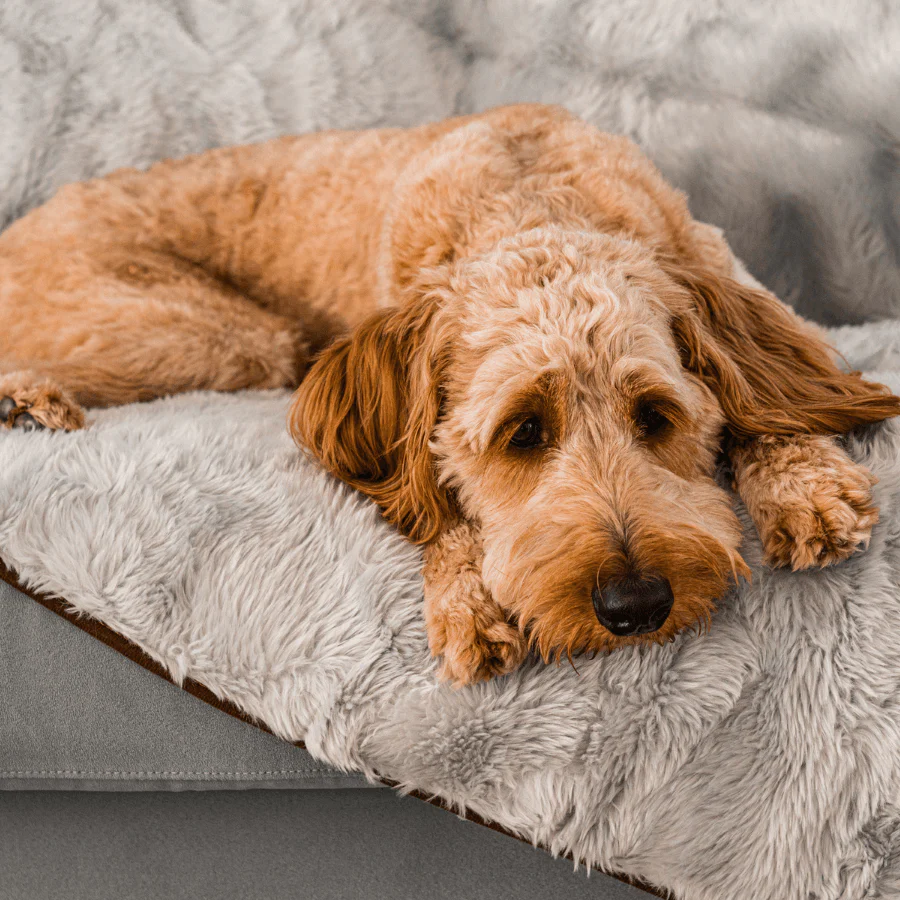 PupProtector™ Summer Short Fur Waterproof Throw Blanket - Grey - Image 10