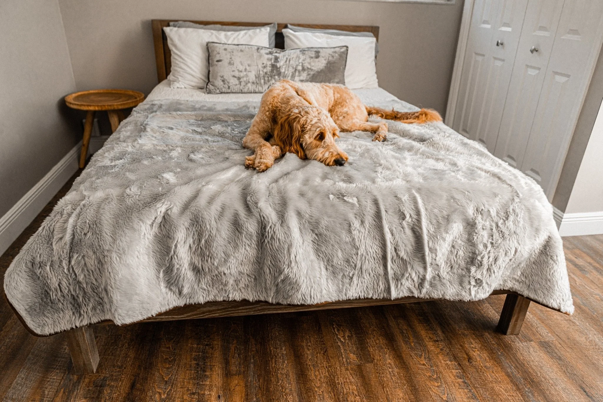 PupProtector™ Summer Short Fur Waterproof Throw Blanket - Grey - Image 11