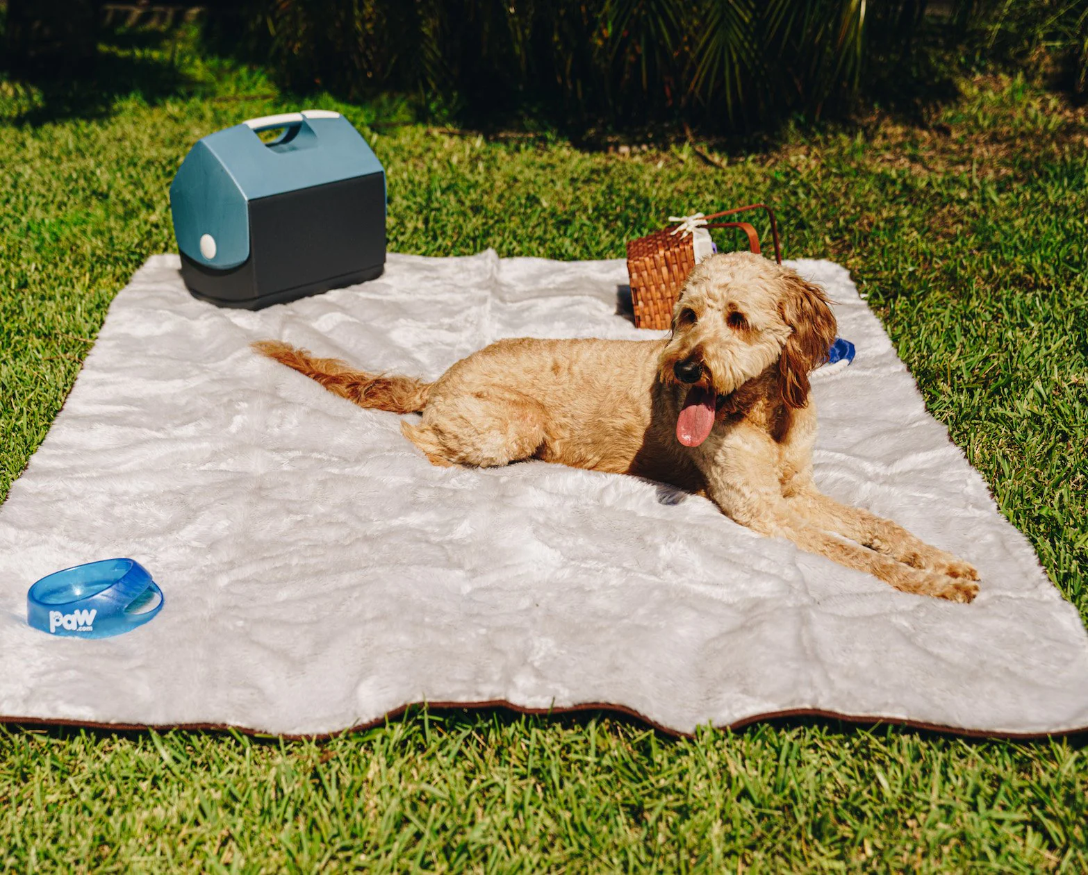 PupProtector™ Summer Short Fur Waterproof Throw Blanket - Grey - Image 4