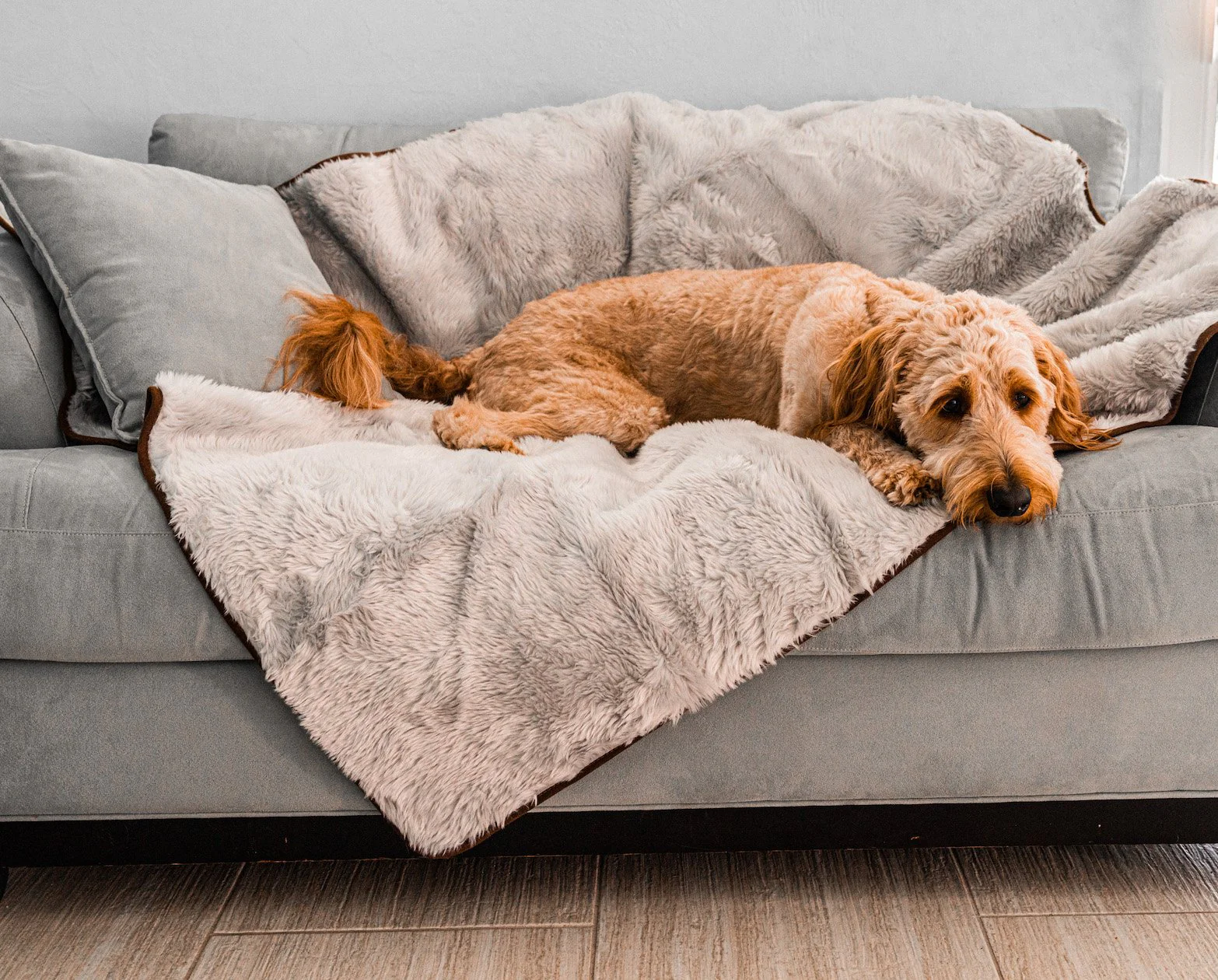 PupProtector™ Summer Short Fur Waterproof Throw Blanket - Grey - Image 6