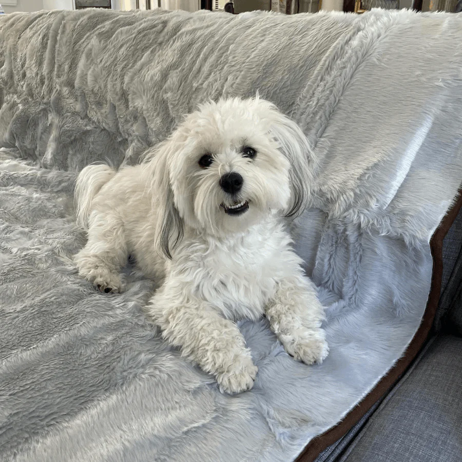 PupProtector™ Summer Short Fur Waterproof Throw Blanket - Grey - Image 7