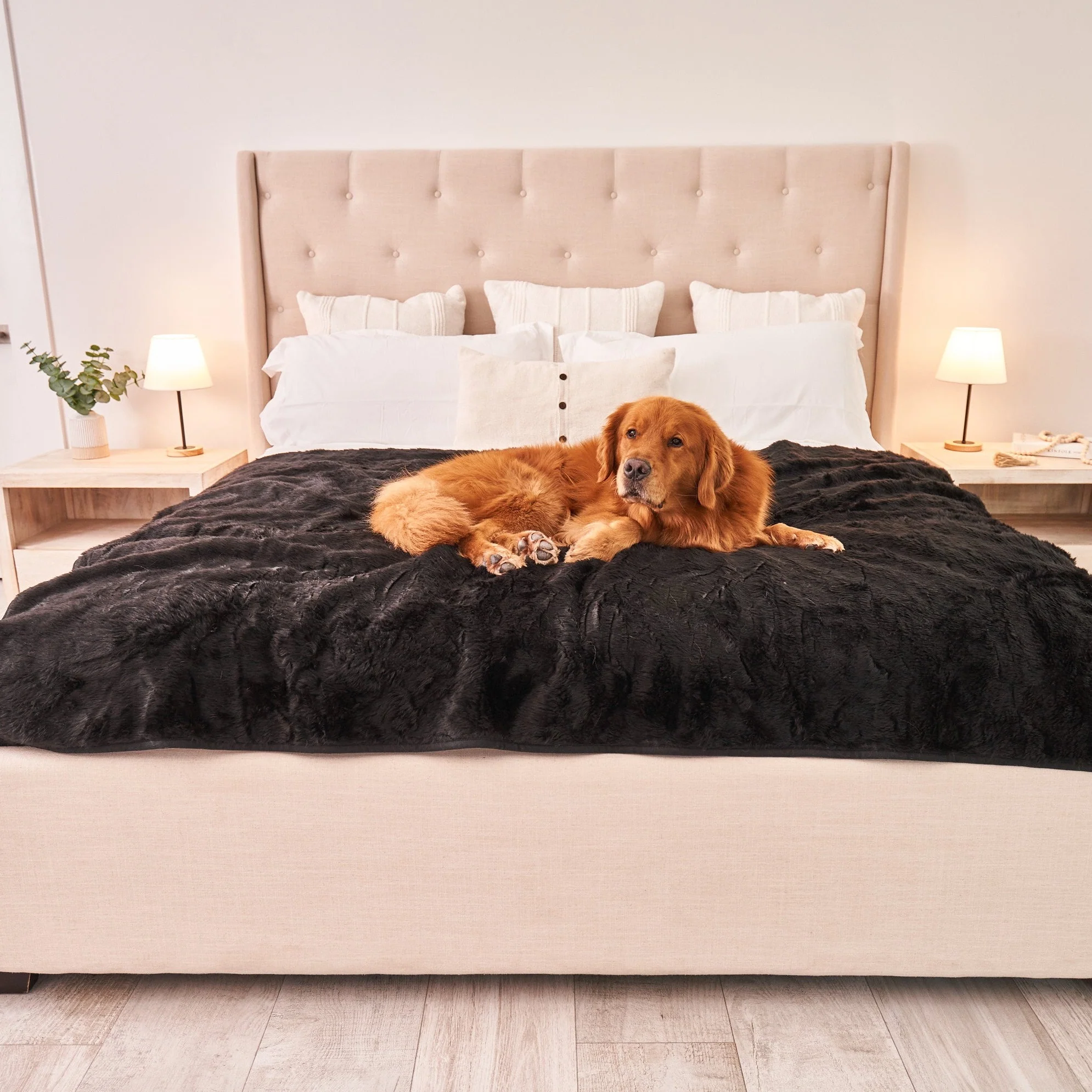 PupProtector™ Summer Short Fur Waterproof Throw Blanket - Midnight Black - Image 10