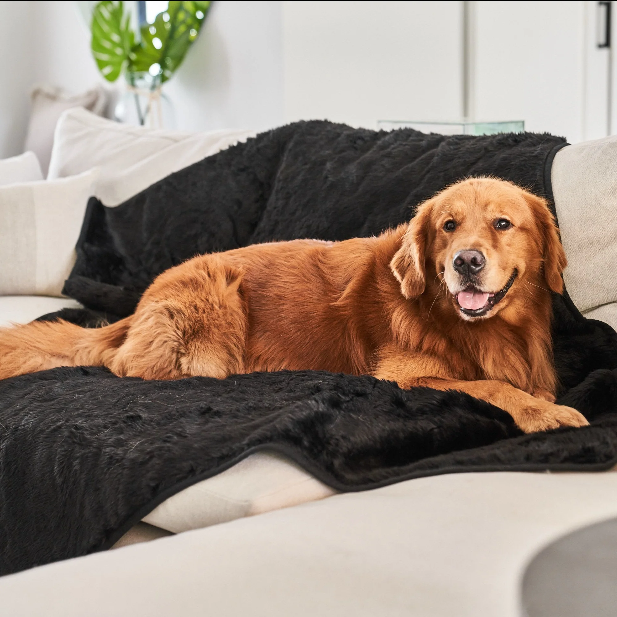PupProtector™ Summer Short Fur Waterproof Throw Blanket - Midnight Black - Image 2