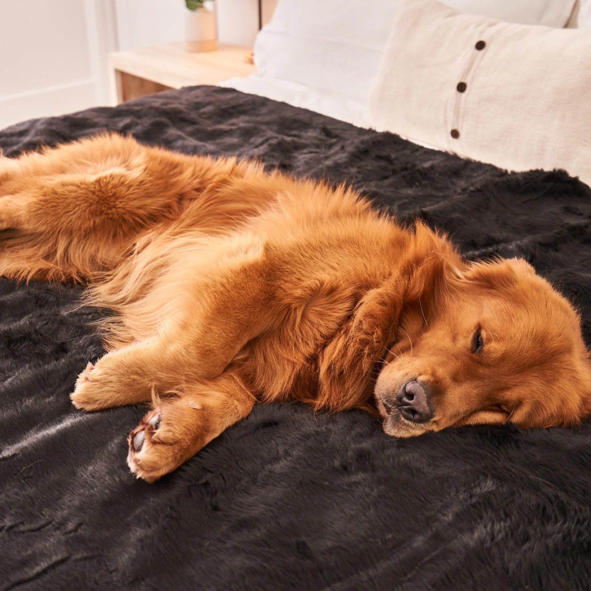 PupProtector™ Summer Short Fur Waterproof Throw Blanket - Midnight Black - Image 7