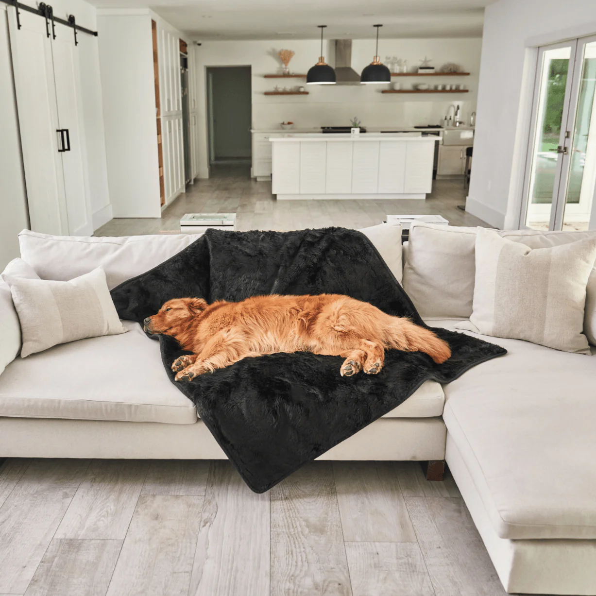 PupProtector™ Summer Short Fur Waterproof Throw Blanket - Midnight Black - Image 9
