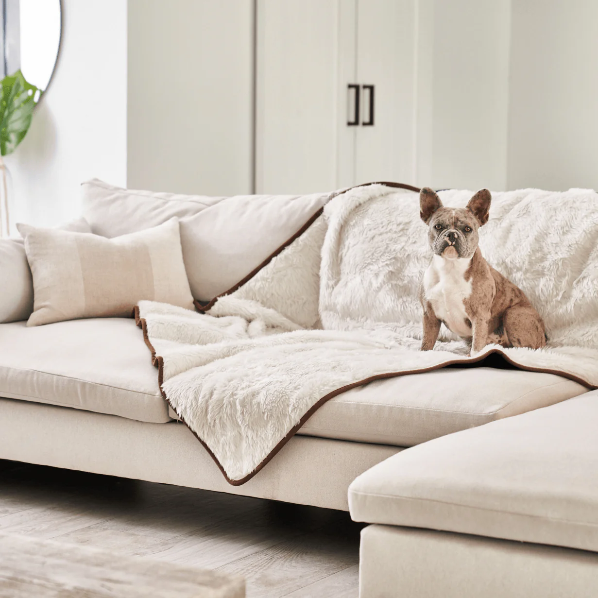 PupProtector™ Summer Short Fur Waterproof Throw Blanket - Polar White - Image 10