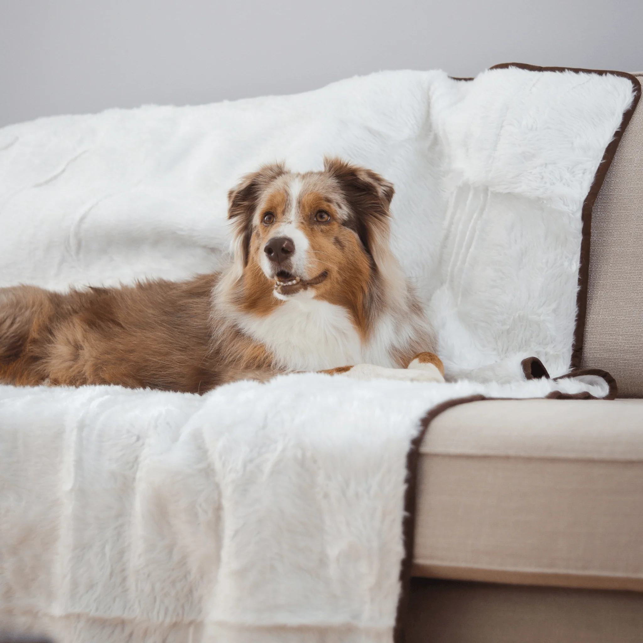PupProtector™ Summer Short Fur Waterproof Throw Blanket - Polar White - Image 3