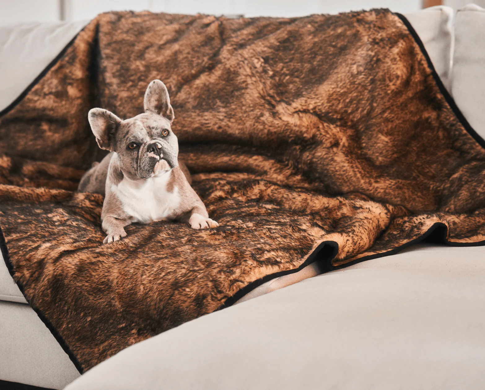 PupProtector™ Summer Short Fur Waterproof Throw Blanket - Sable Tan - Image 3