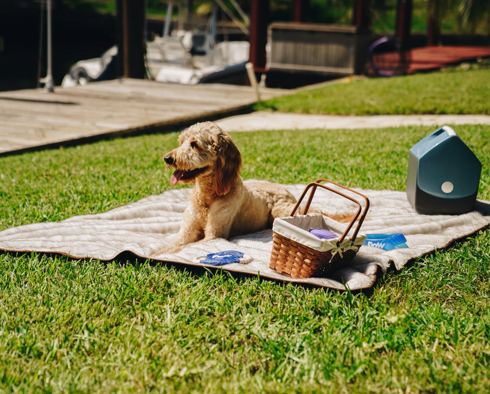 PupProtector™ Summer Short Fur Waterproof Throw Blanket - White with Brown Accents - Image 5