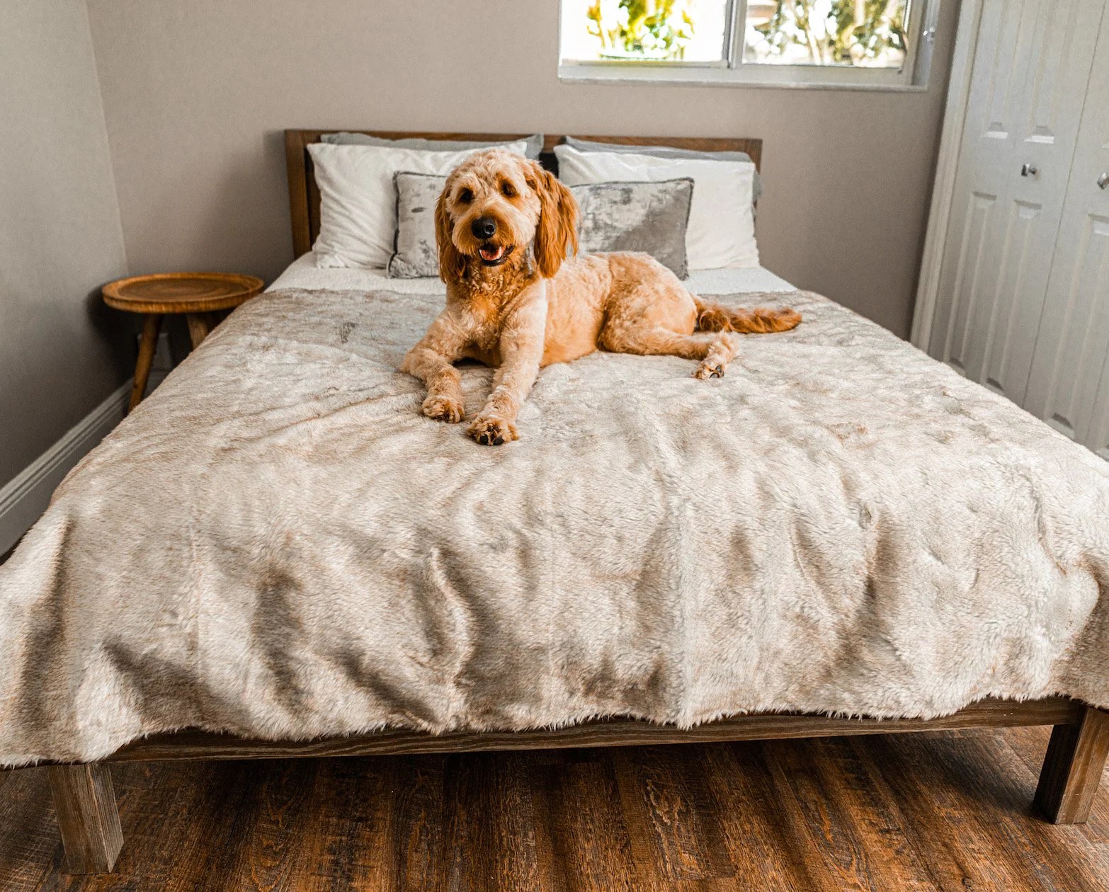 PupProtector™ Summer Short Fur Waterproof Throw Blanket - White with Brown Accents - Image 6
