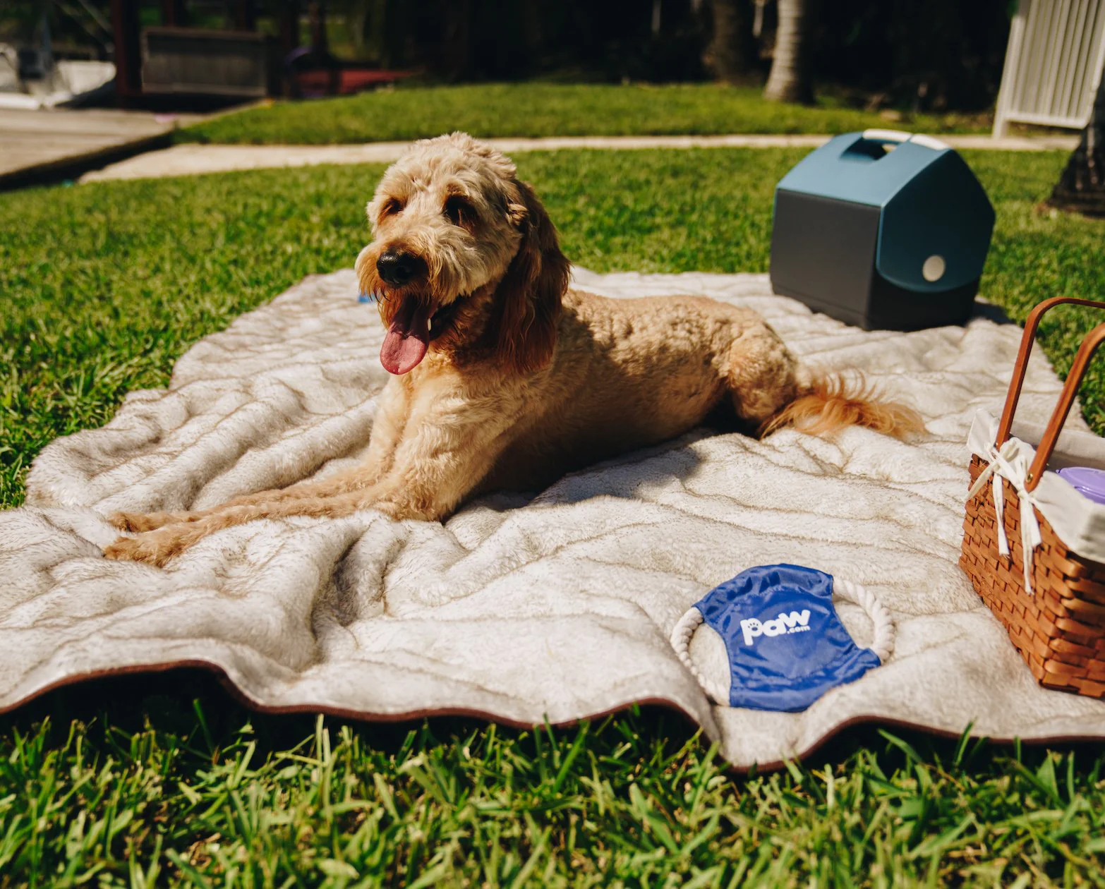 PupProtector™ Summer Short Fur Waterproof Throw Blanket - White with Brown Accents - Image 9