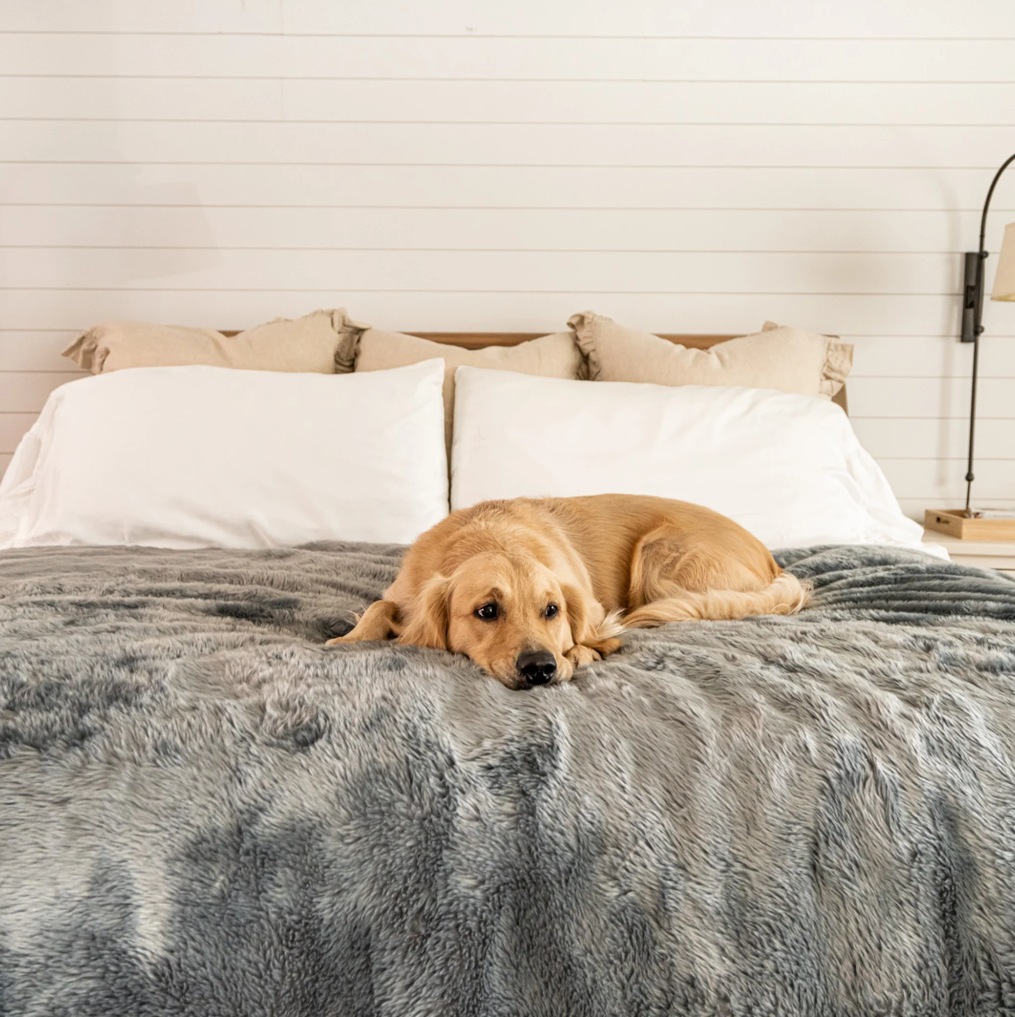 PupProtector™ Summer Short Fur Waterproof Throw Blanket - Charcoal Grey - Image 12