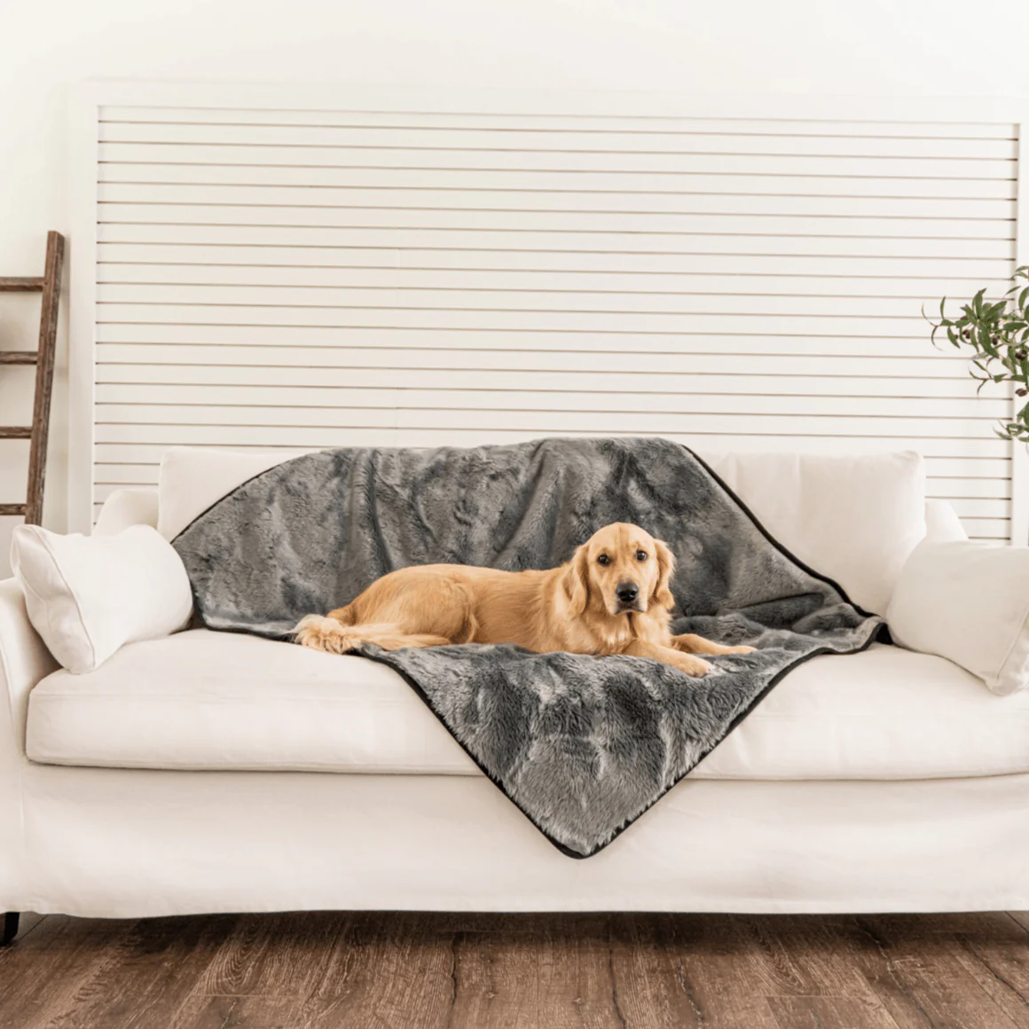 PupProtector™ Summer Short Fur Waterproof Throw Blanket - Charcoal Grey - Image 13