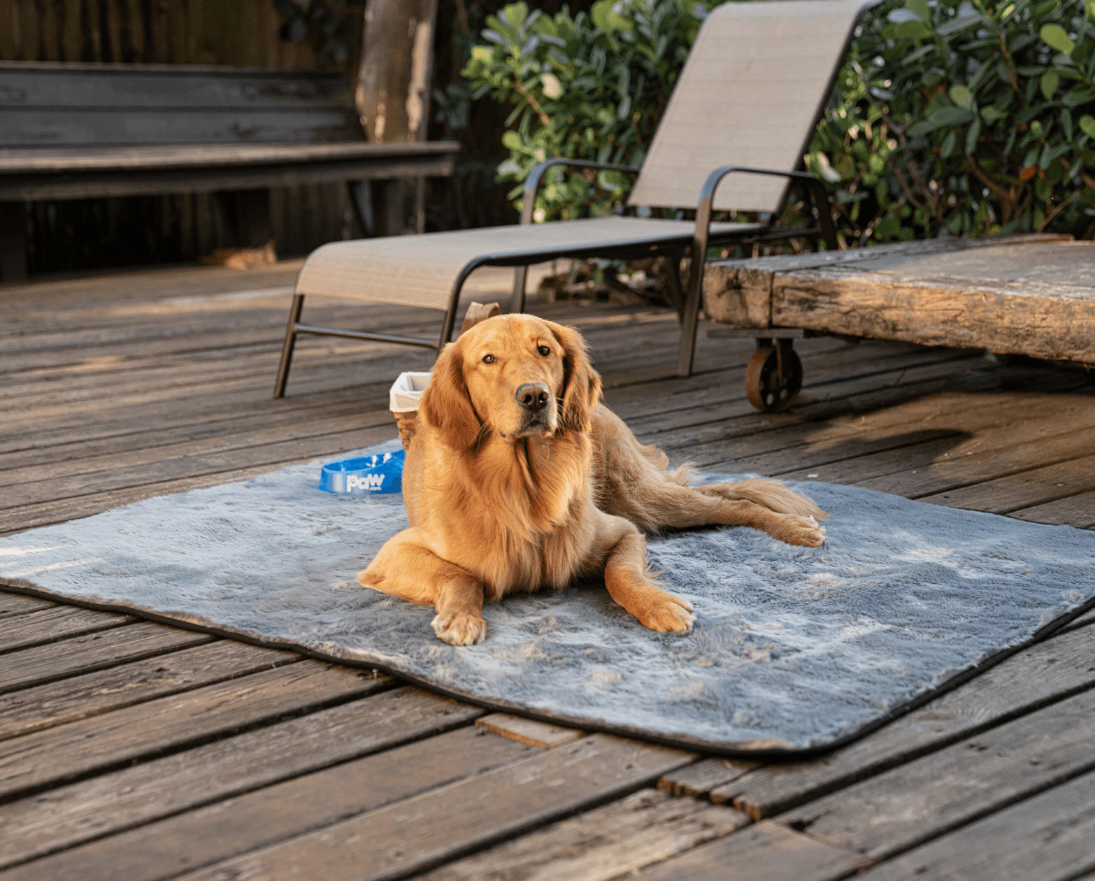 PupProtector™ Summer Short Fur Waterproof Throw Blanket - Charcoal Grey - Image 8