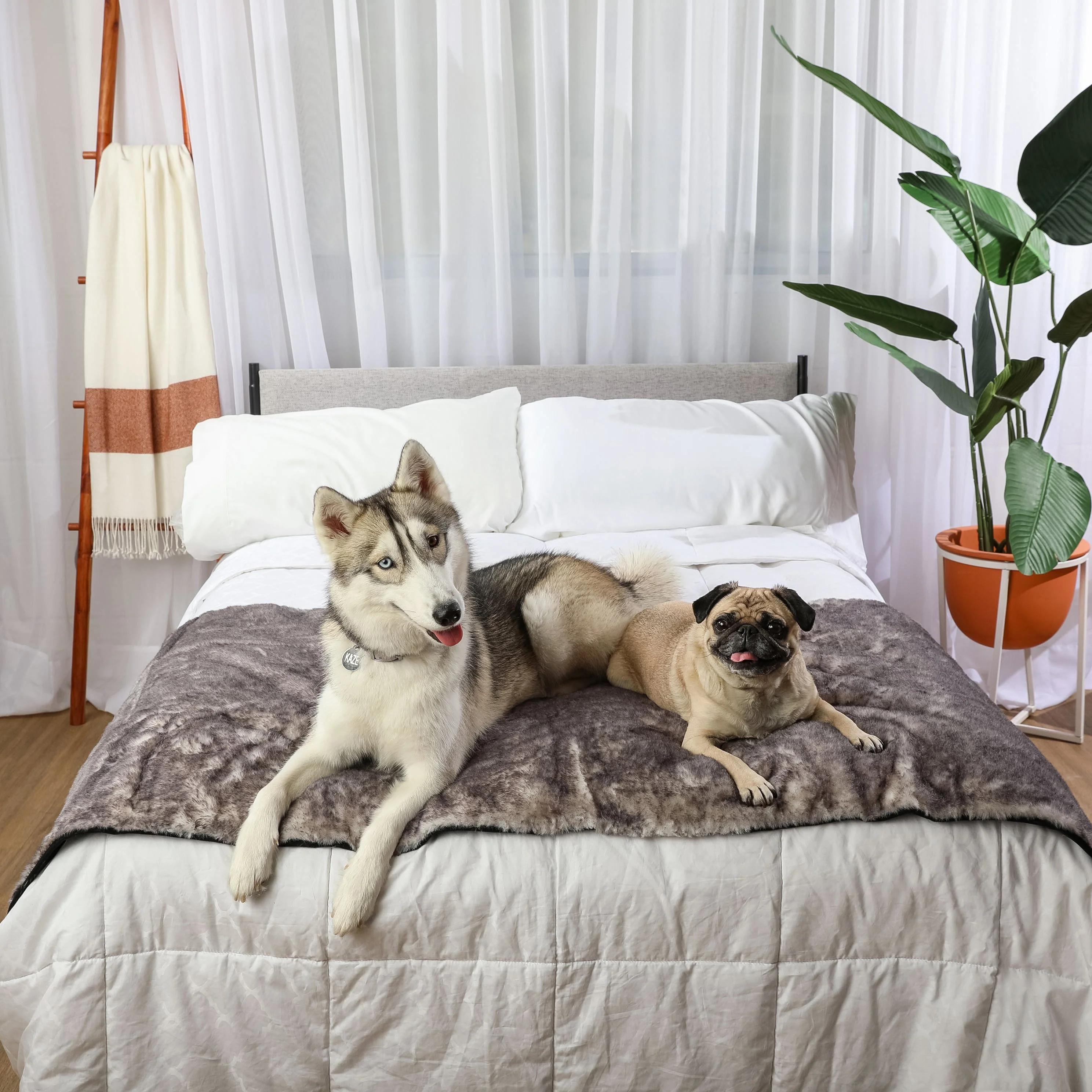 PupProtector™ Luxe Waterproof Bed Runner - Ultra Soft Chinchilla - Image 4