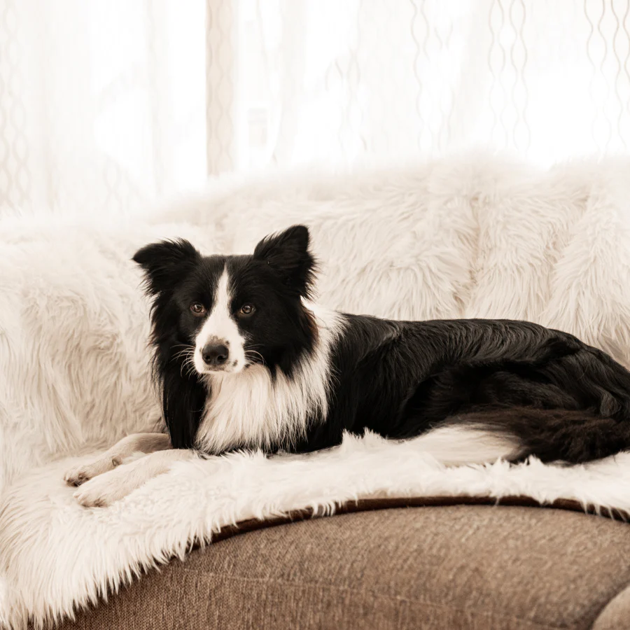 PupProtector™ Waterproof Throw Blanket - Polar White - Image 7