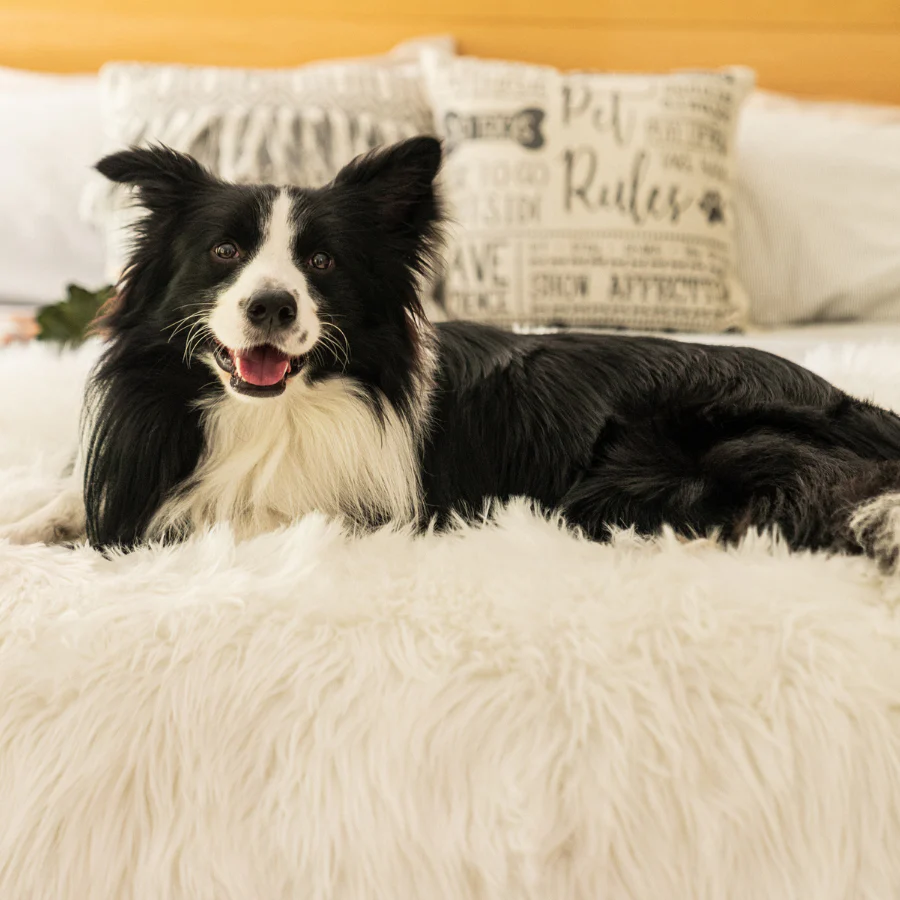 PupProtector™ Waterproof Throw Blanket - Polar White - Image 9
